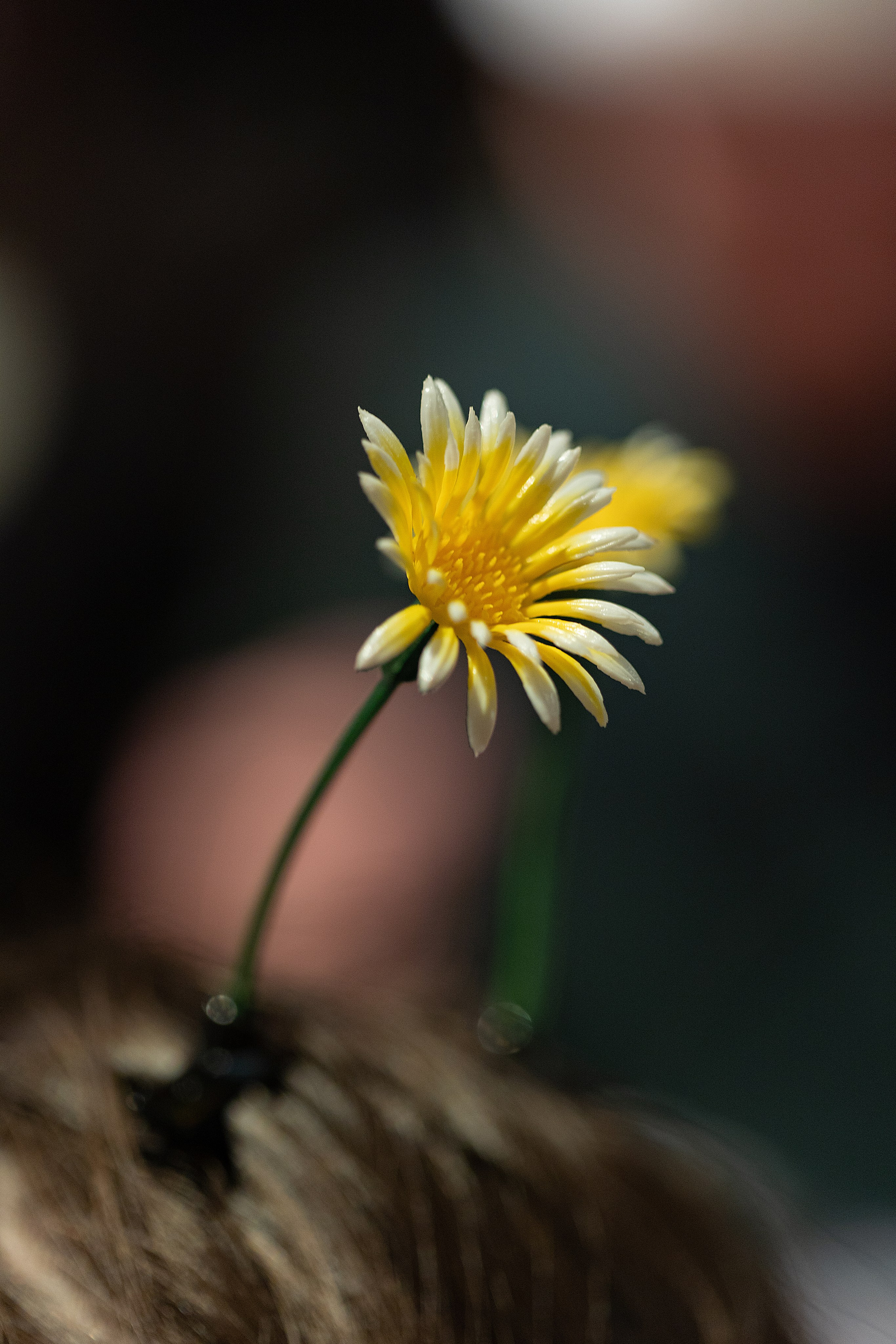 Ночь игр в The Place | Санкт-Петербург, 2026. Репортажный фотограф