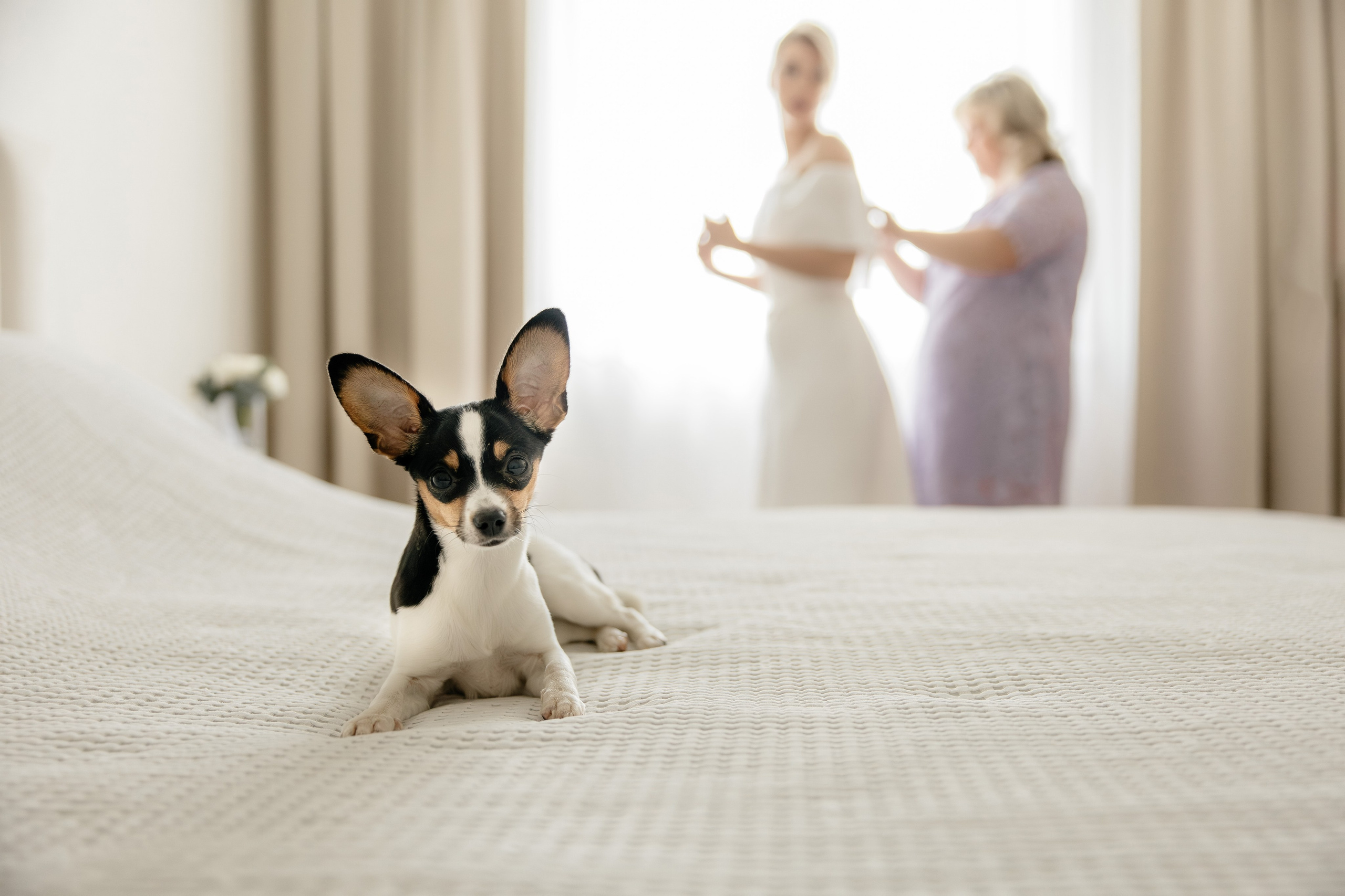 Никита&Светлана. Фотограф Арина Елизарова