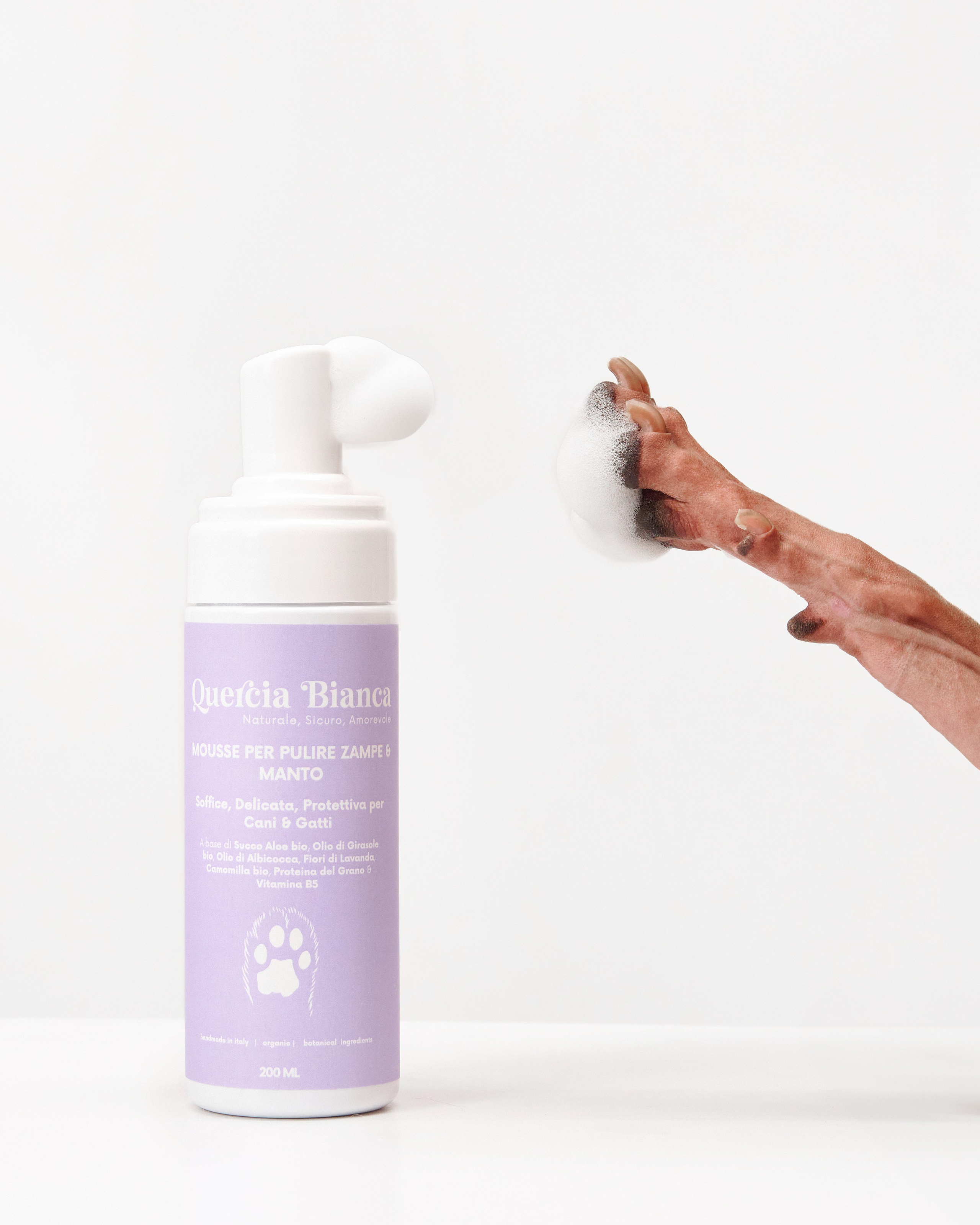 Advertising shooting with animals. Pets in advertising. Dog photographer Averianova Anna — Art photography of dogs