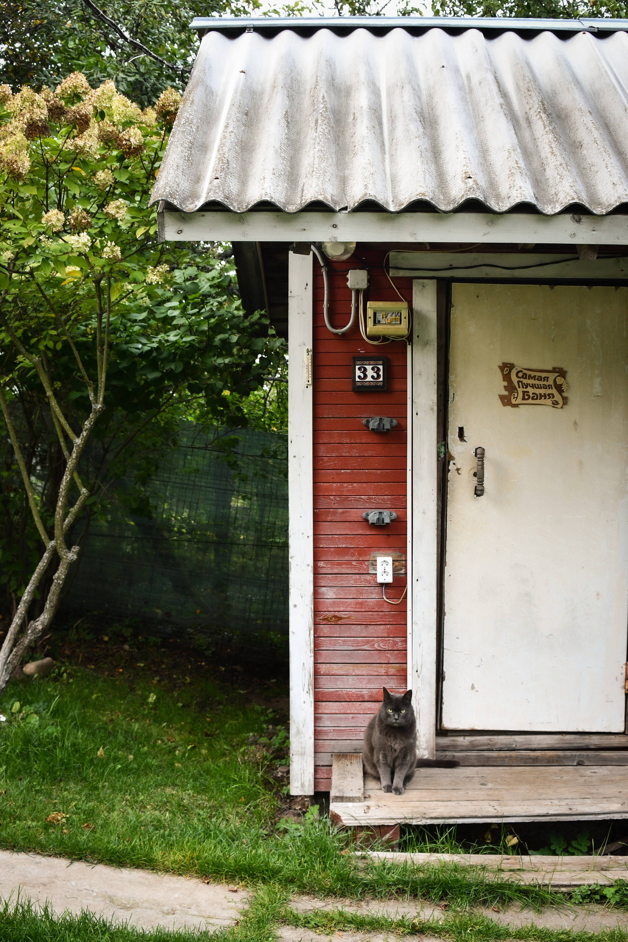 Контент-съемка для Инны. Фотограф в Санкт-Петербурге Ксения Яковчук