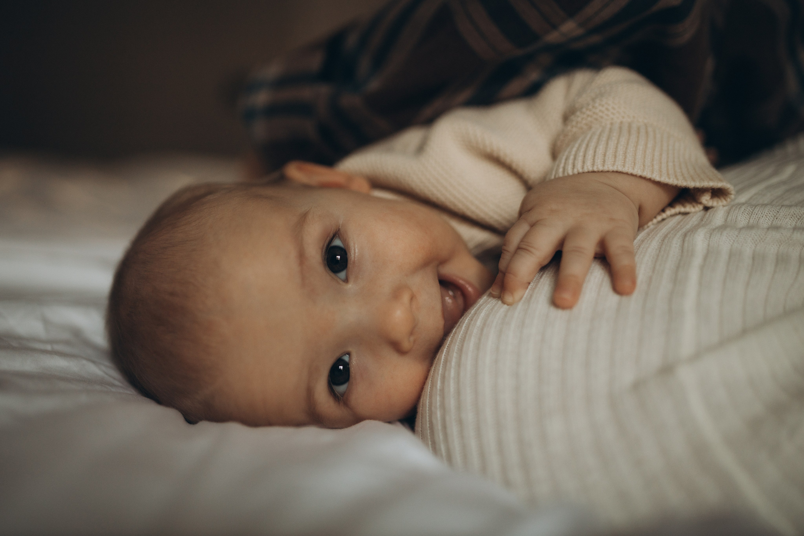 Домашняя новогодняя история про Леона. Семейный фотограф Мария Маркова Москва и Одинцово