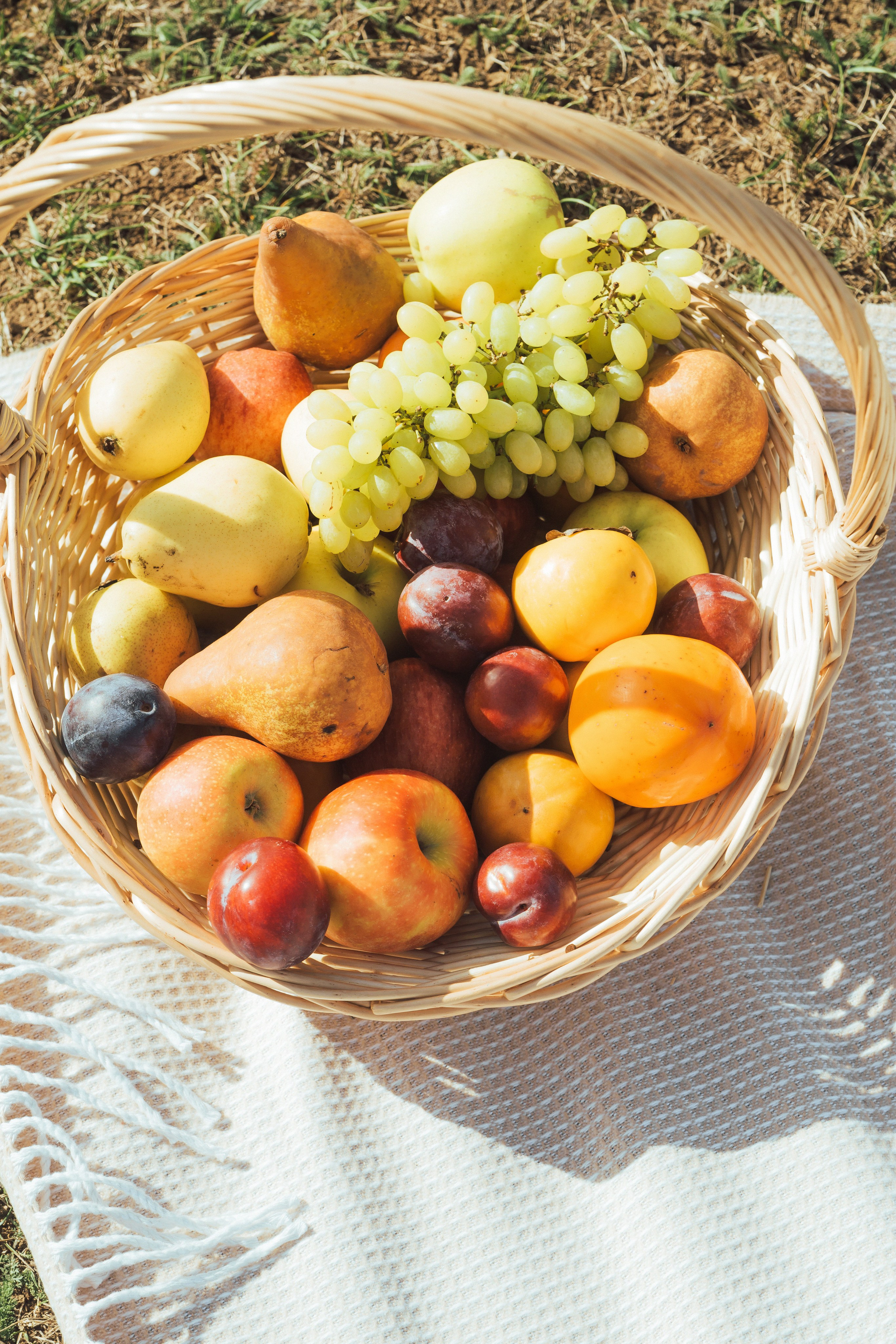 Теплый день. Семен Соколов