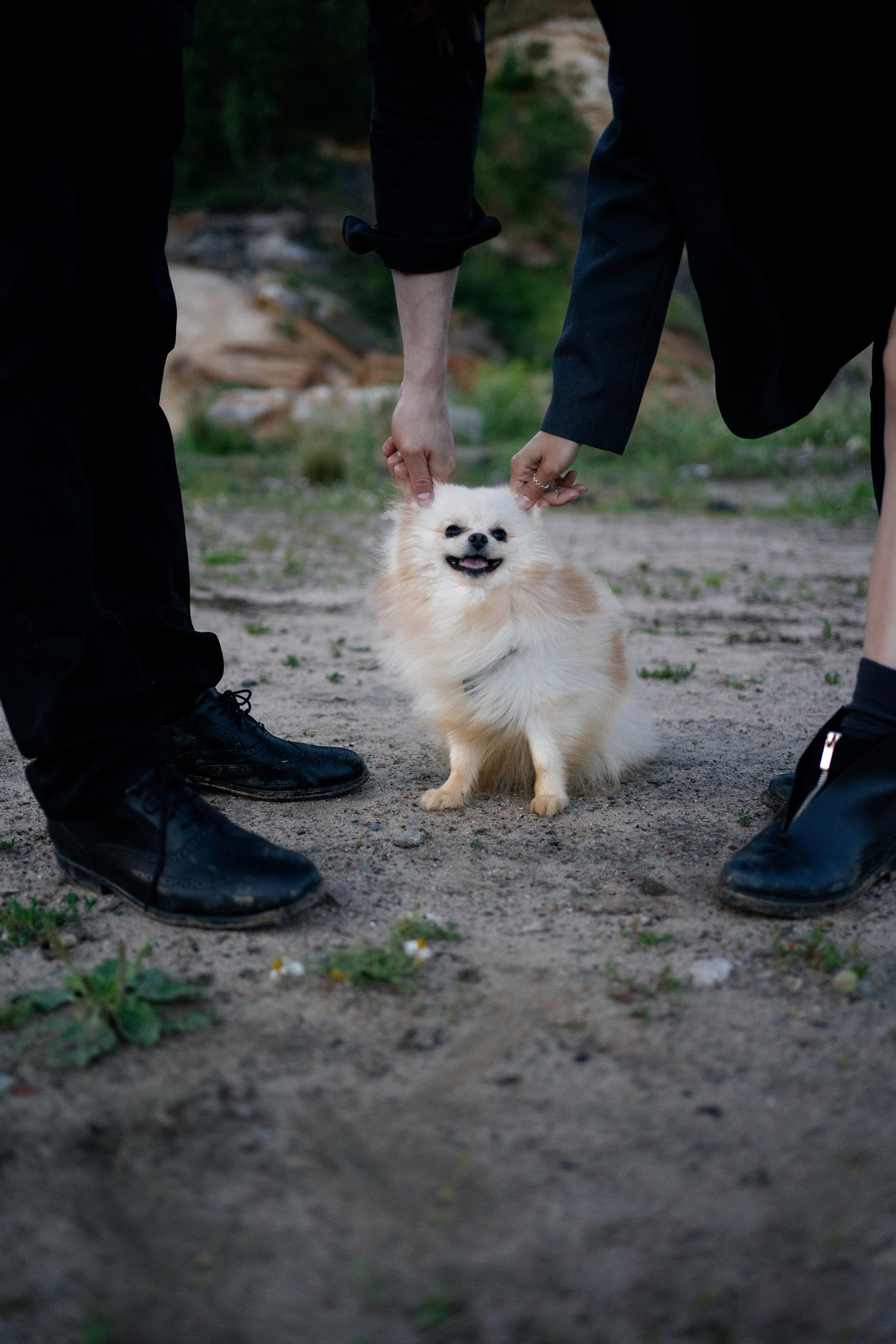 Женя, Паша и Бурф. Елена Чернега свадебный и коммерческий фотограф