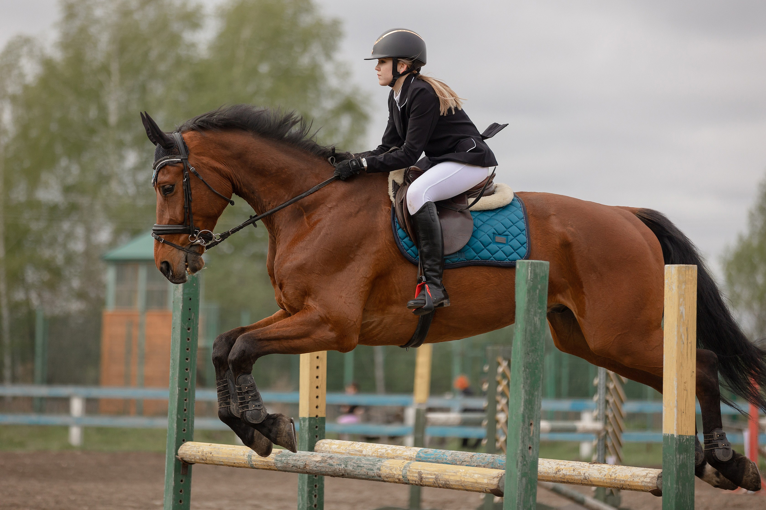 Соревнования по конному спорту. Конный фотограф Валынкина Лера