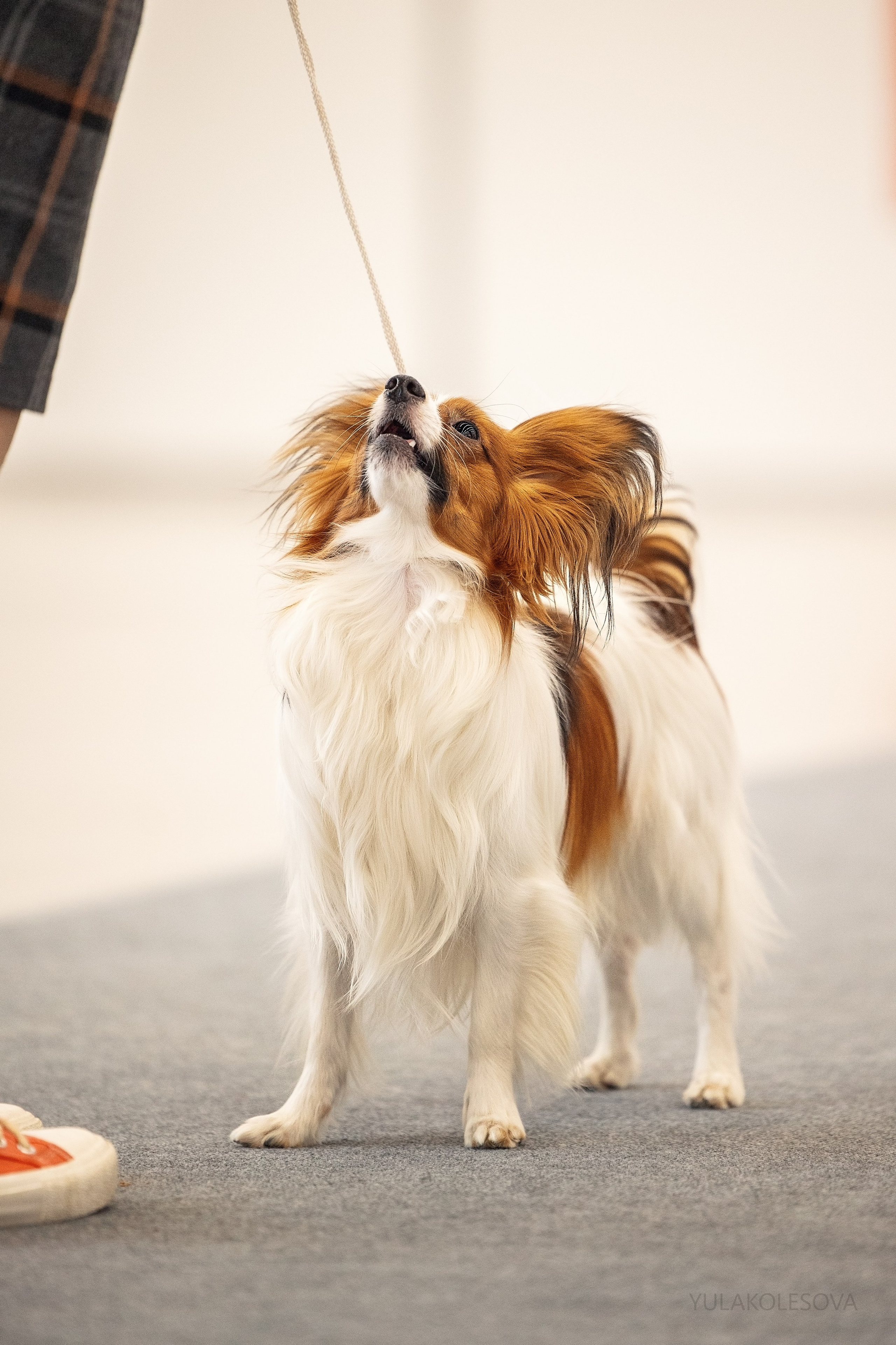 5.05.2024. YULA KOLESOVA | Фотограф — Анималист | Художник | Тюмень