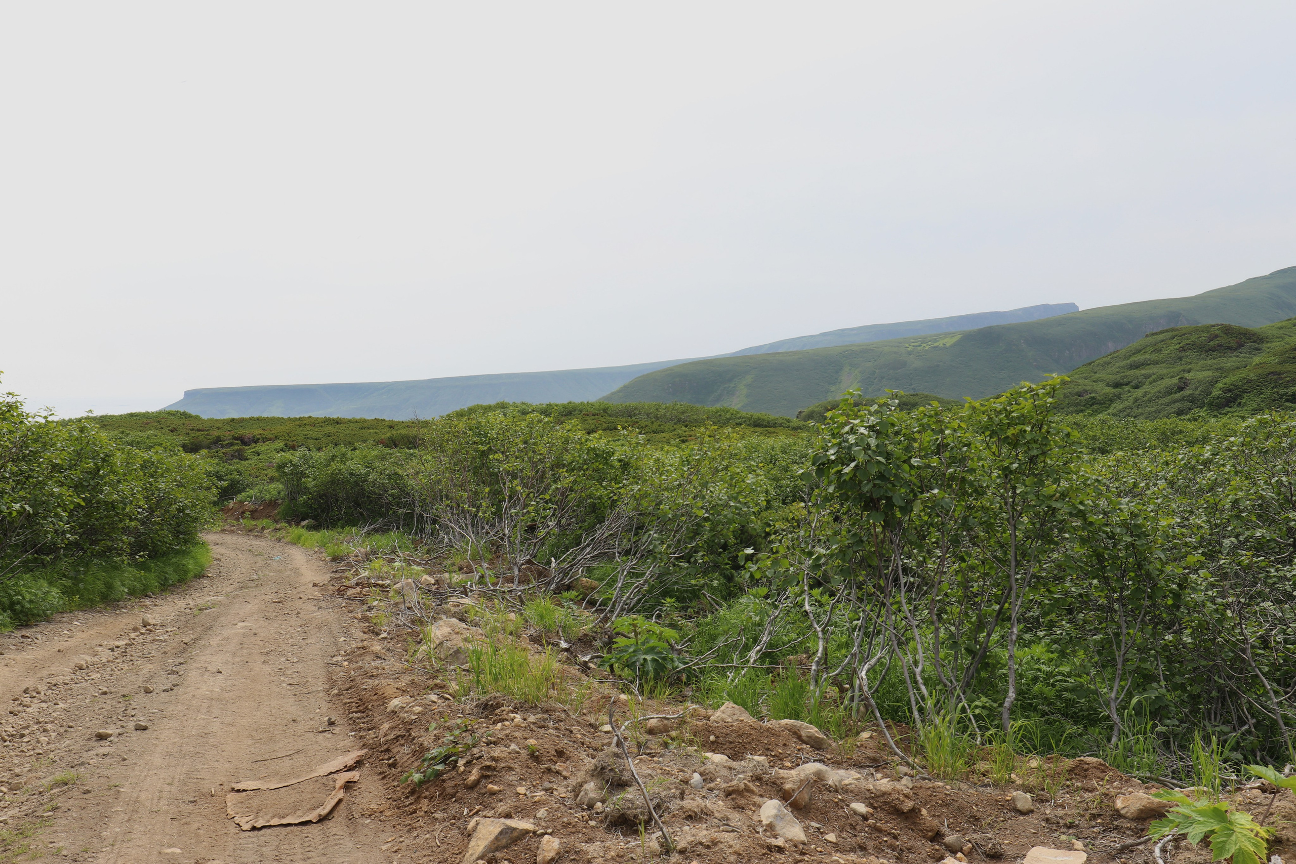 Камчатка и о. Парамушир. Июль 2024. Путешественник-фотограф из Санкт-Петербурга Татьяна Свистулина