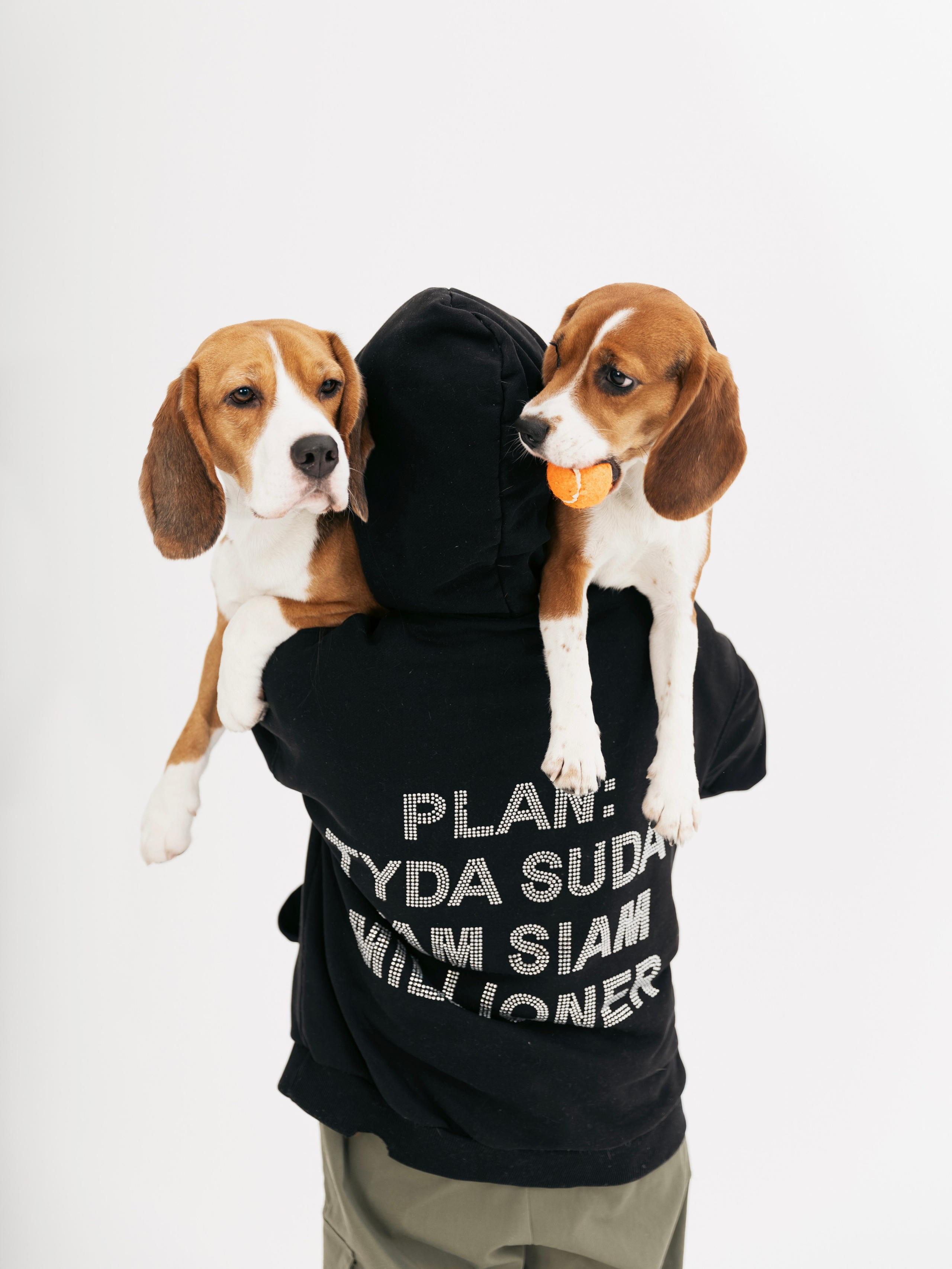 Биглемания. DRIPSTOCK MAG