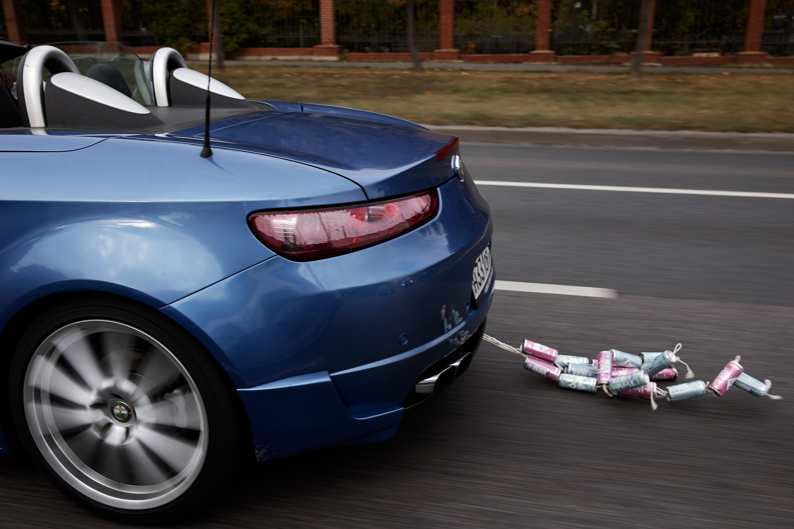 Дима и Алина. Свадебный фотограф в Москве Николай Болт