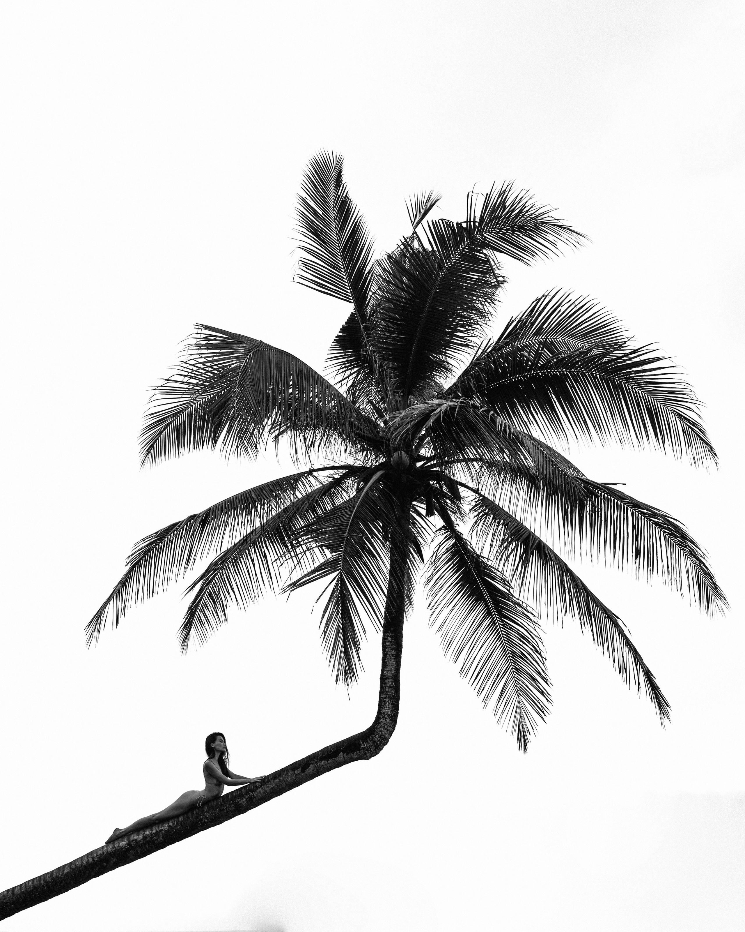 Портфолио. Фотограф Татьяна Кудряшова