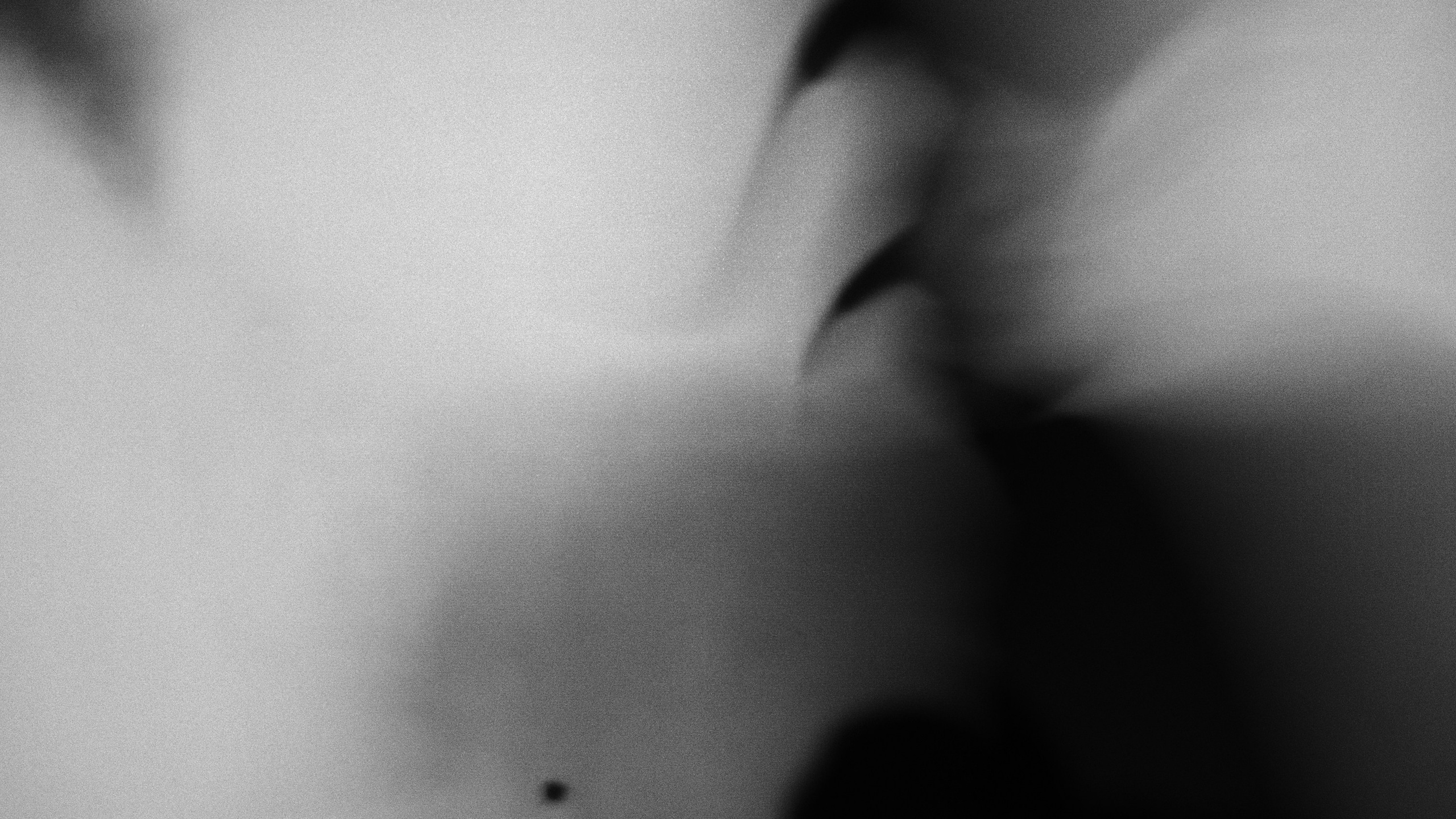 About. Фотограф Юрин Евгений