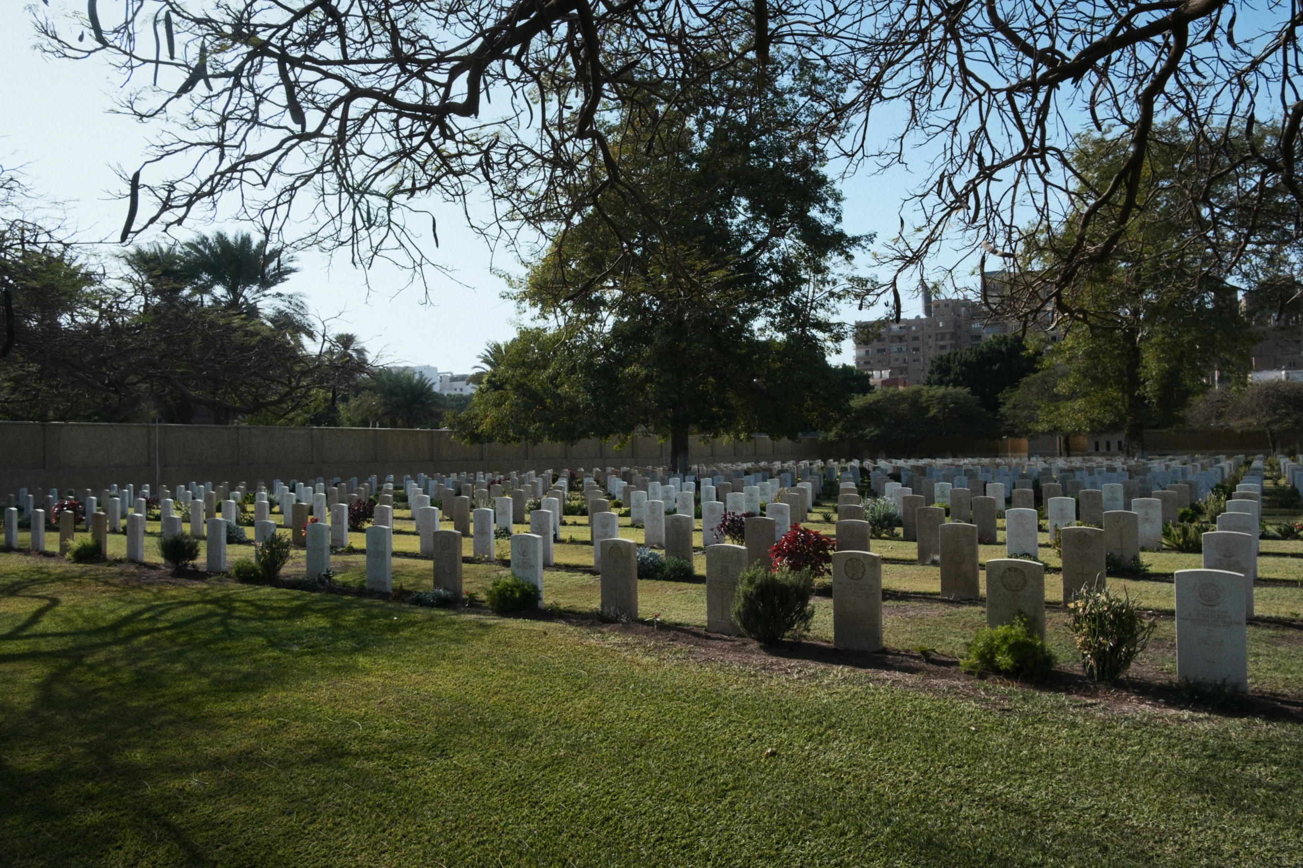 War Memorial Cemetery / Cairo, Egypt AW25. Фотограф Юрин Евгений