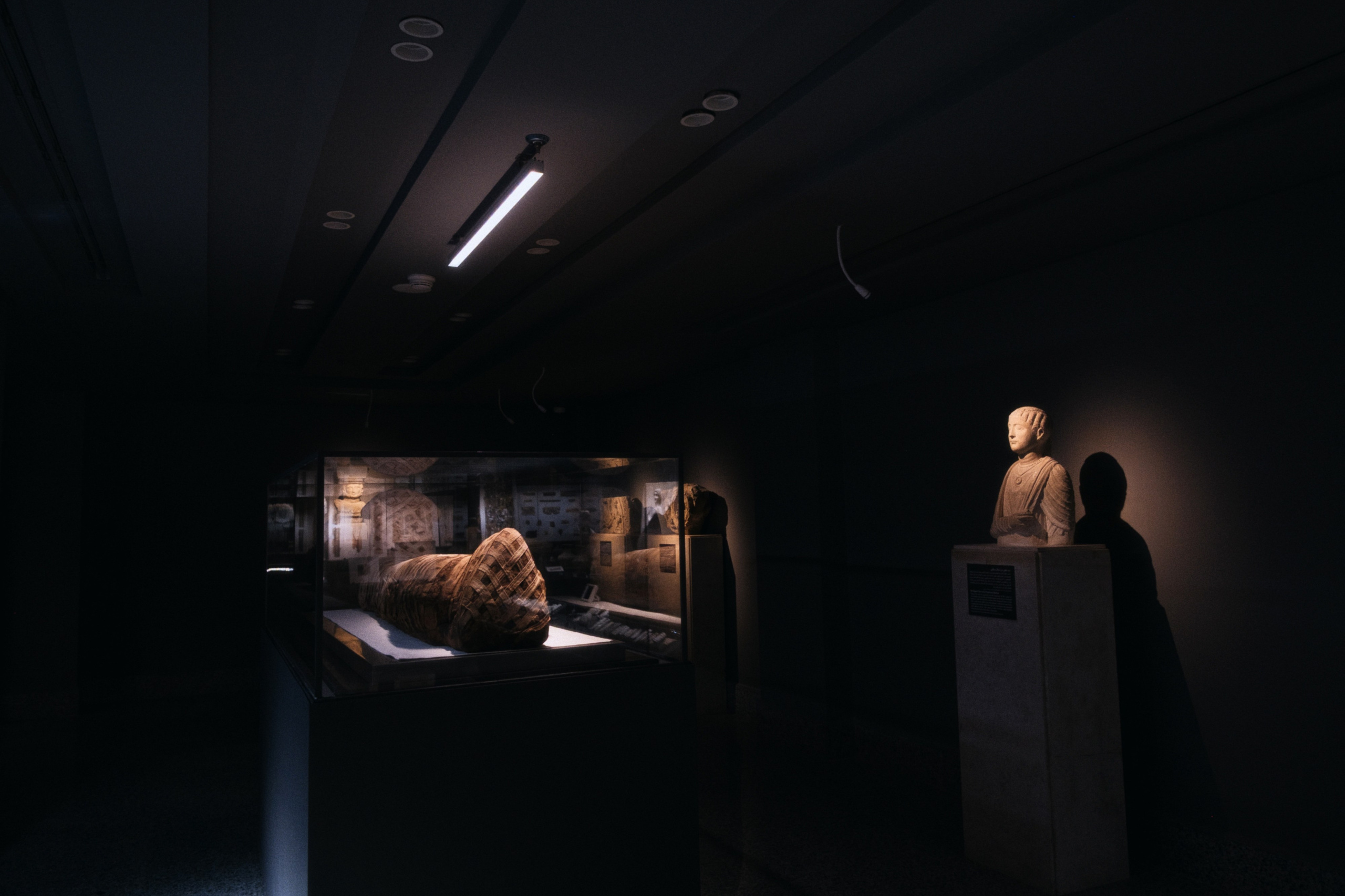 Greco-Roman Museum / Alexandria, Egypt AW25. Фотограф Юрин Евгений