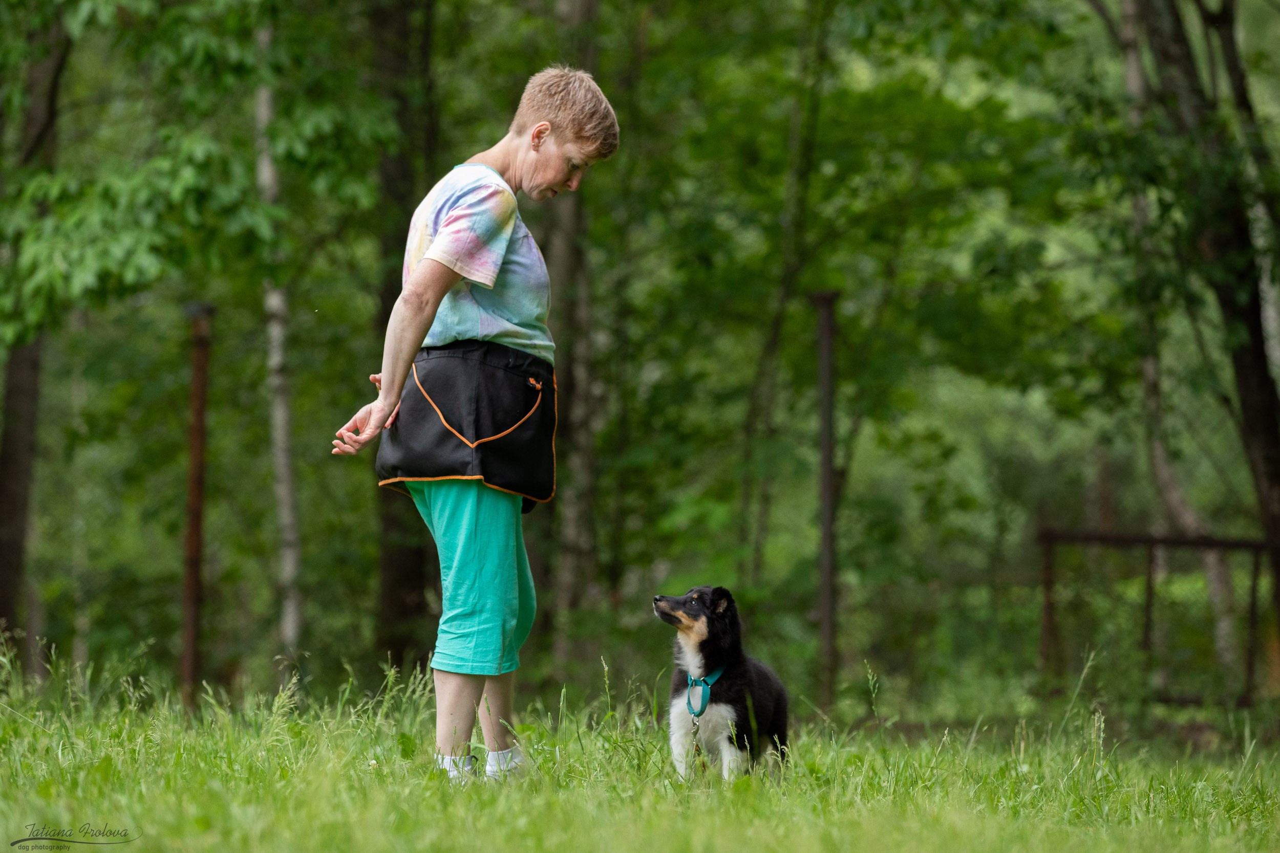 Репортаж с выводки молодняка колли/шелти в Ясенево. Фотограф-анималист в Москве и Московской области Татьяна Фролова