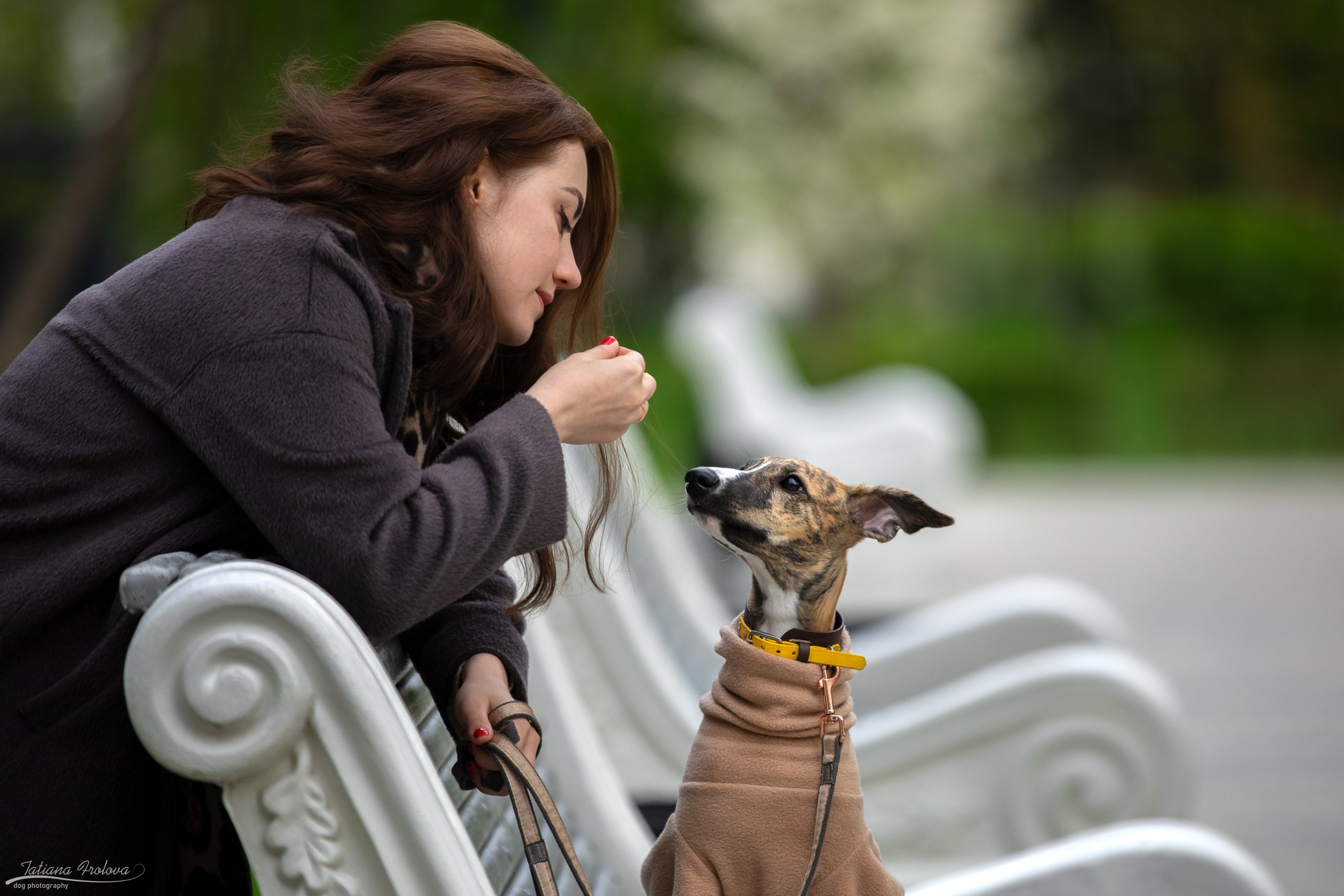 Городская фотопрогулка для Насти и щенка уиппета Корицы. Фотограф-анималист в Москве и Московской области Татьяна Фролова