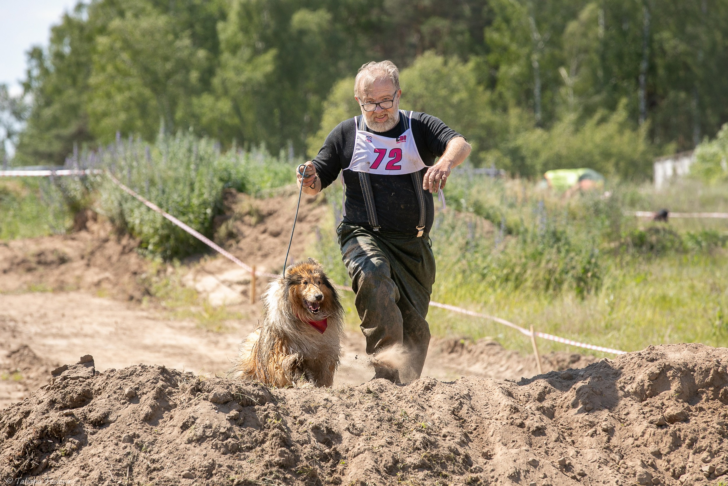 Фоторепортаж с забега с собаками. Фотограф-анималист в Москве и Московской области Татьяна Фролова