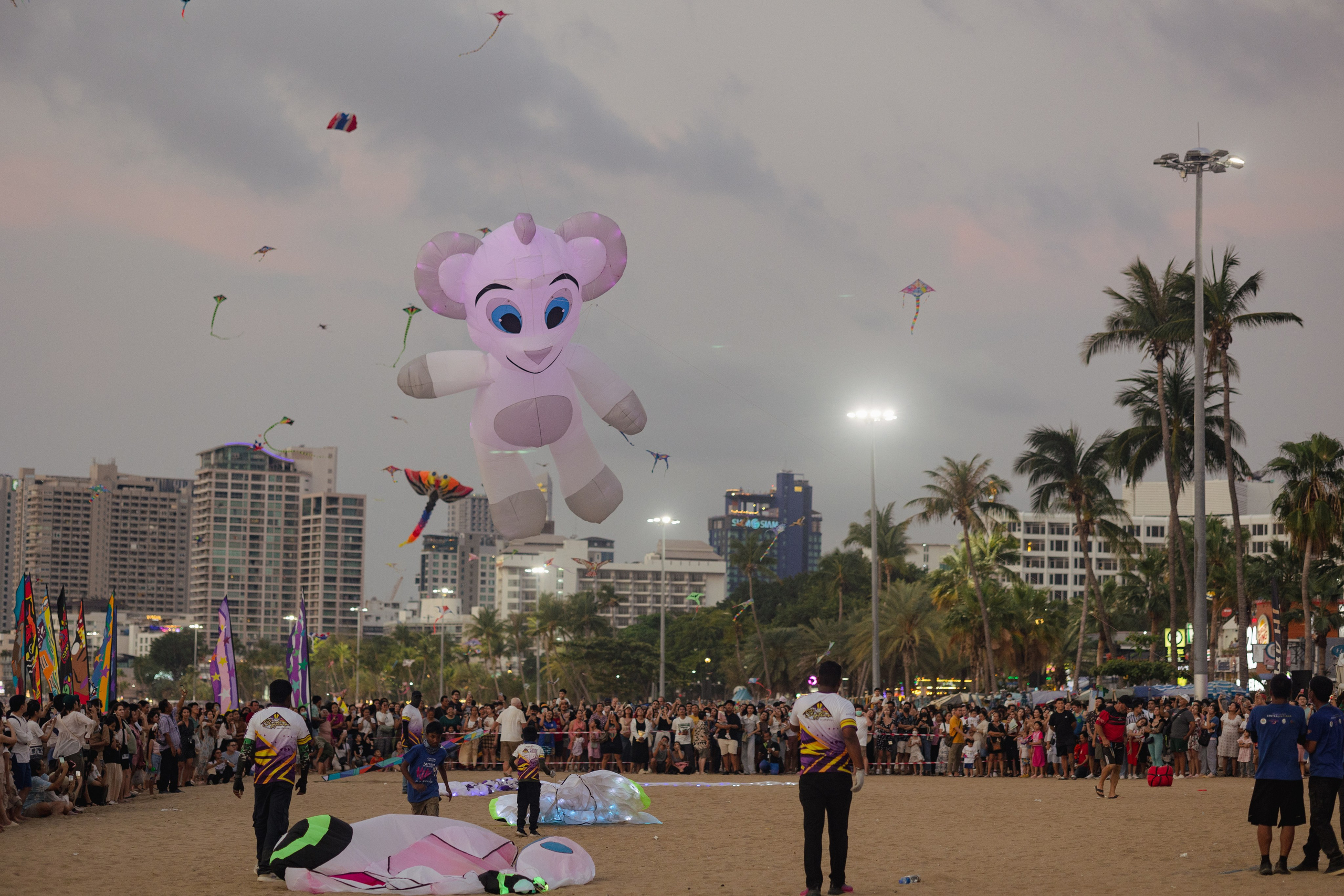 PATTAYA INTERNATIONAL KITE ON THE BEACH 2024. Photographer Sonkina Tatiana (Tanya Ash)