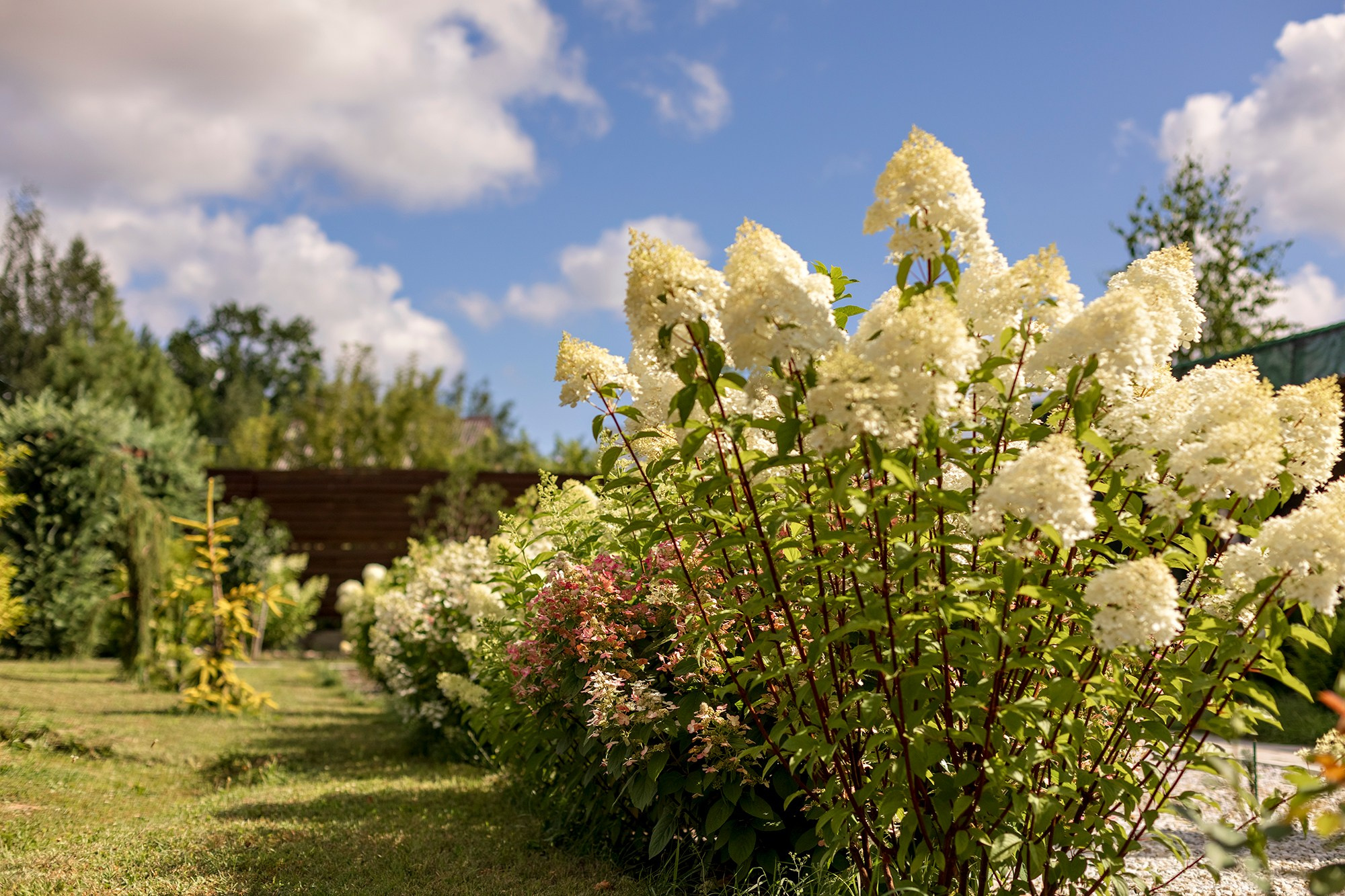 Парк-заповедник Купидон. Семейный фотограф в Димитровграде Елена Патрушева