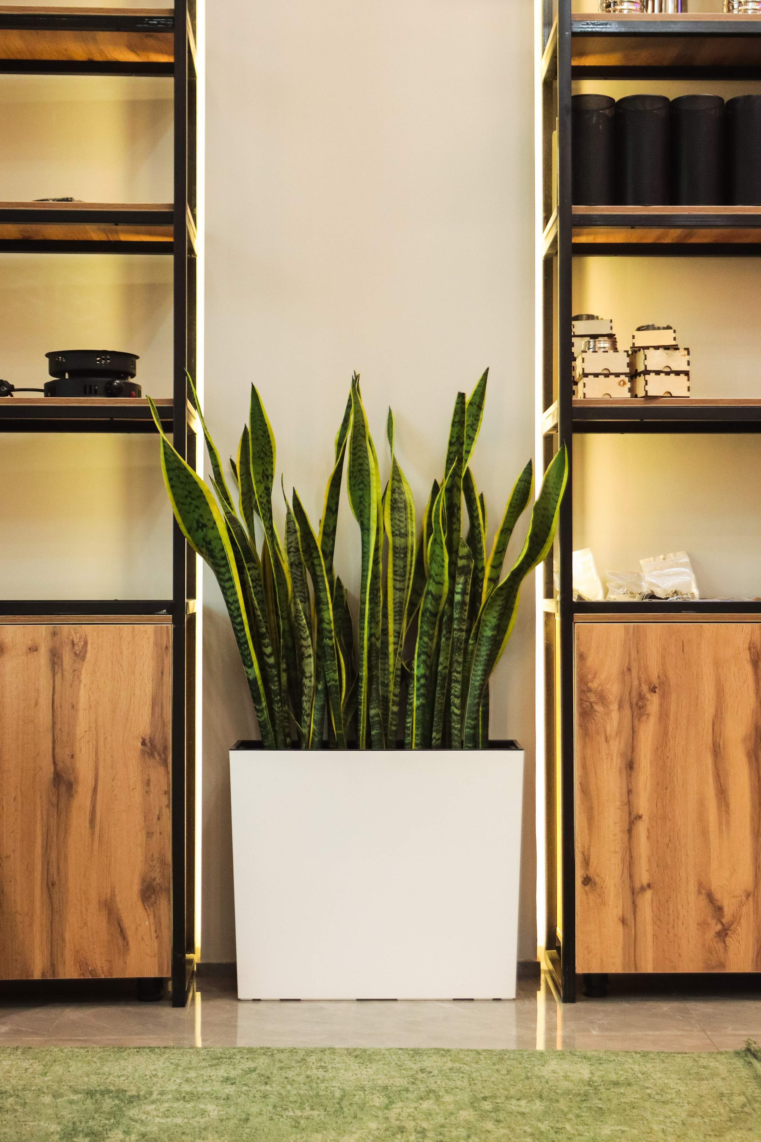 Интерьер. Репортажный, портретный, студийный и автомобильный фотограф в городе Алматы, Талгар и Иссык — Занорин Артем