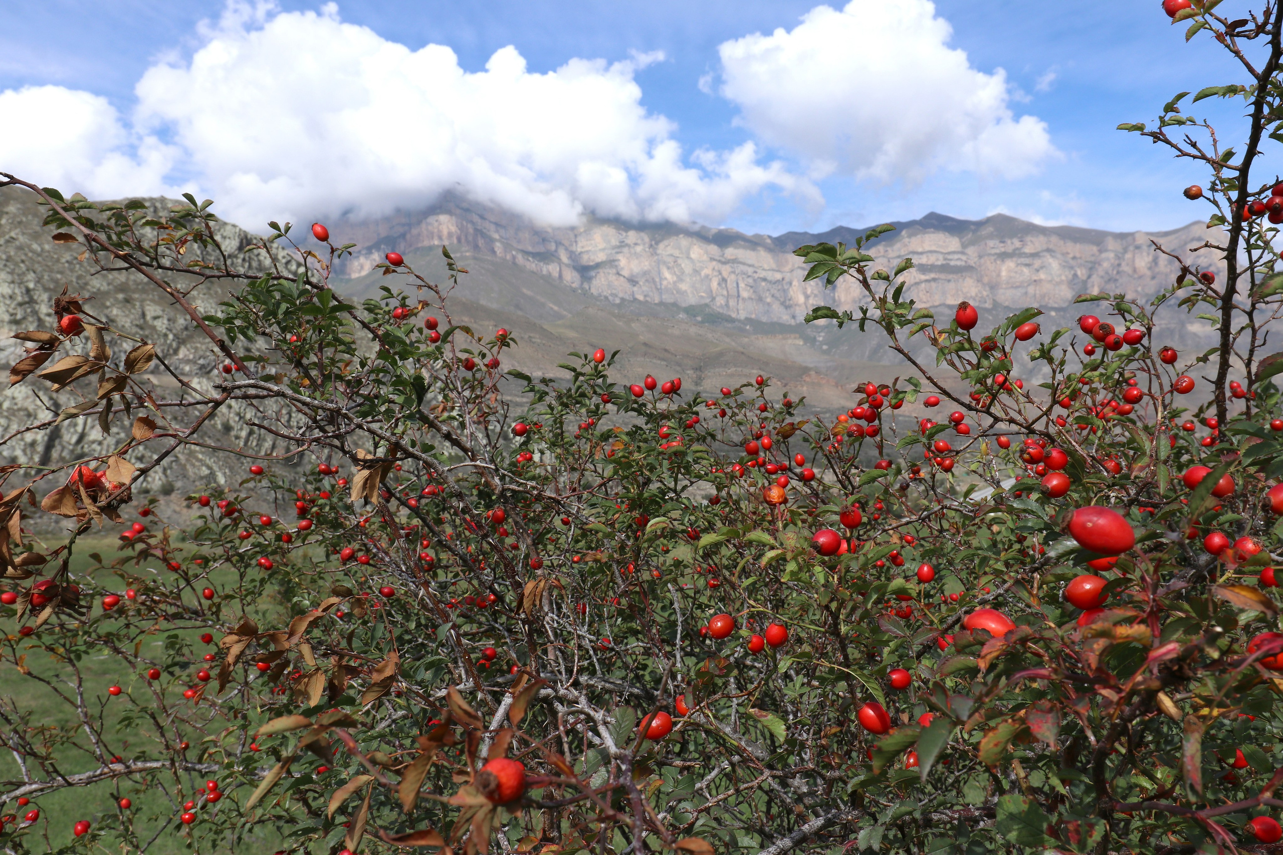 Приэльбрусье. Сентябрь 2024. Путешественник-фотограф из Санкт-Петербурга Татьяна Свистулина