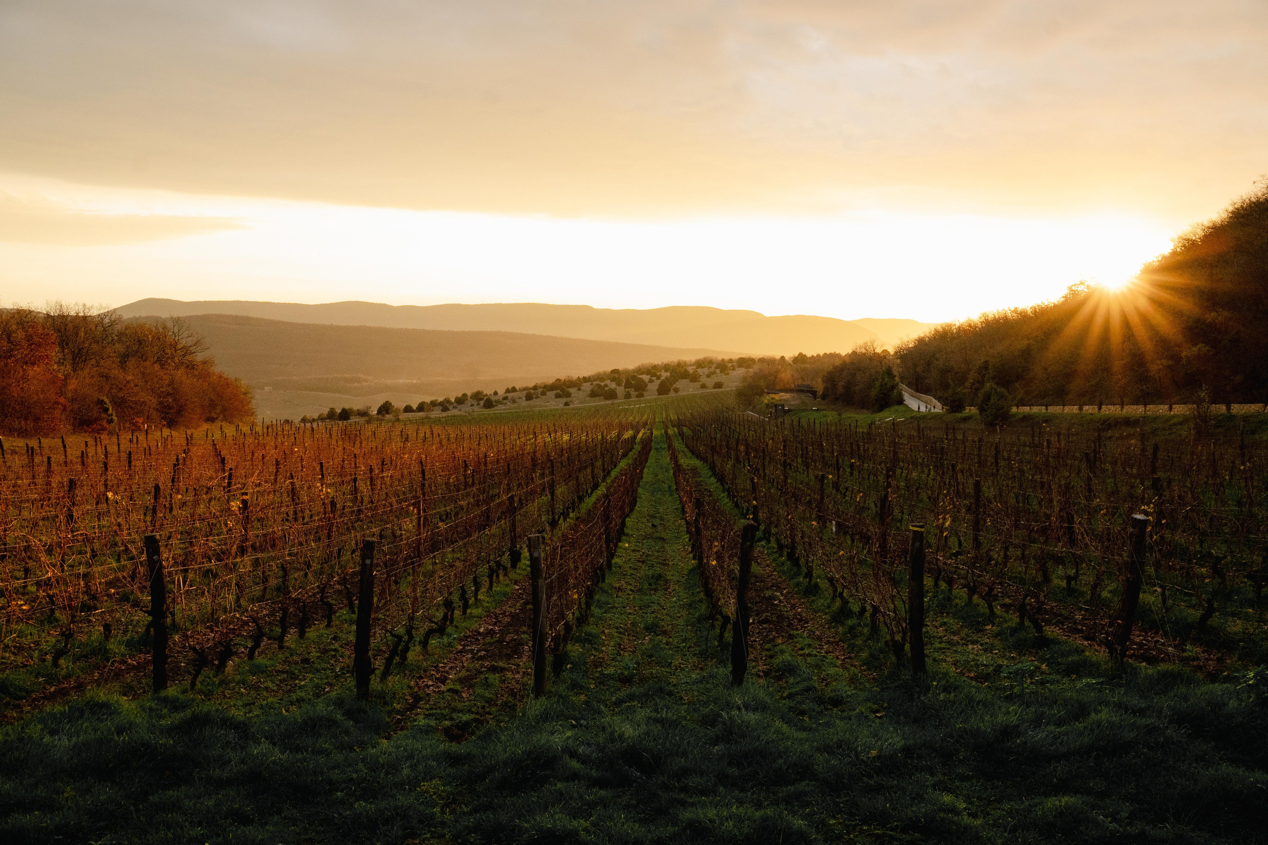 Ужин в ресторане Циклоп. Фотограф в Крыму Алевтина Швец