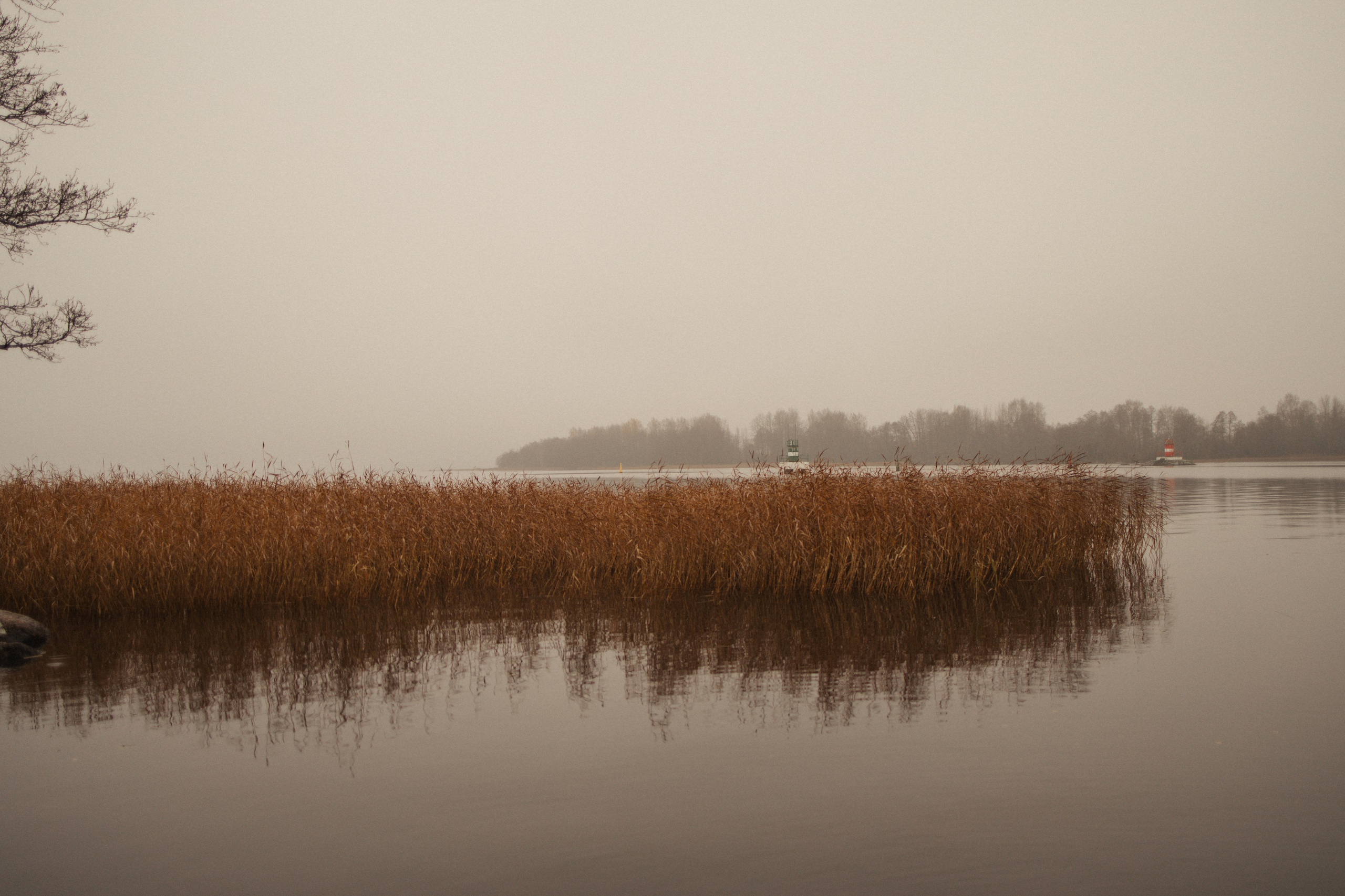 Лена, Глеб, Ральф и Рэй. Фотограф в Выборге и Санкт-Петербурге Маша Гуляева