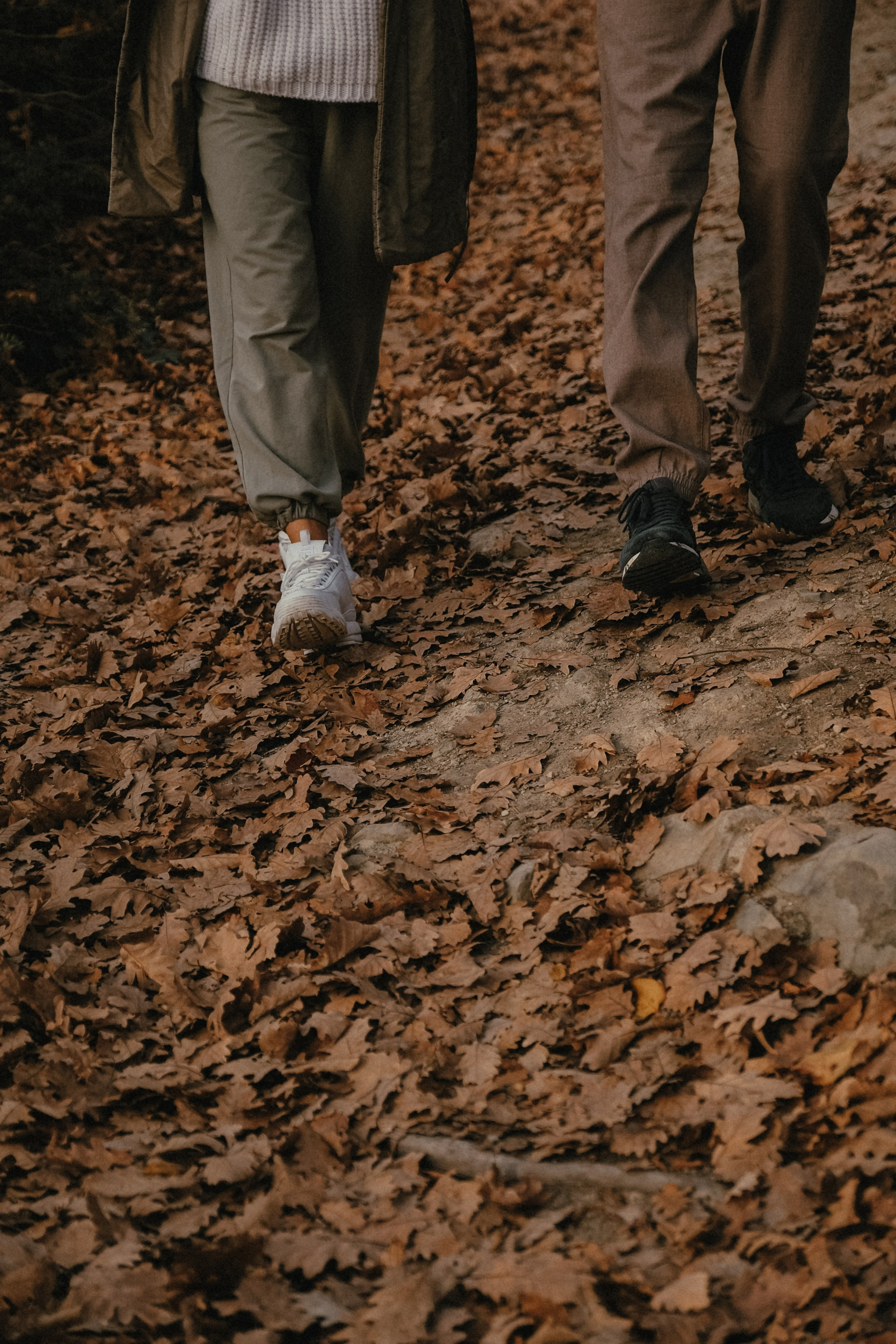 Катя, Паша и Федя. Семейный фотограф Москва