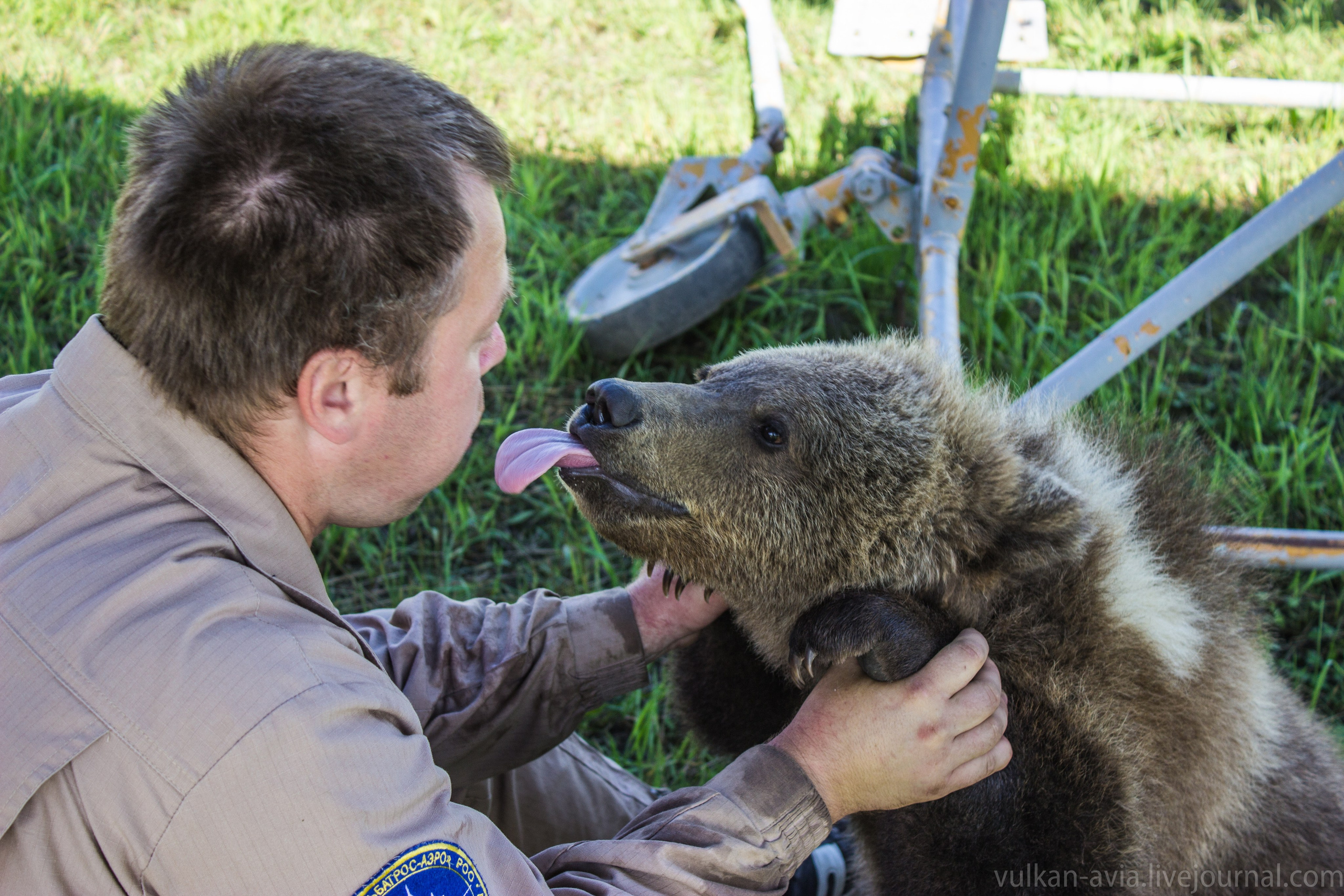 Медведь Мансур. Фотоальбом показывающий увлекательный мир авиации и мир медведей Андрея Иванова