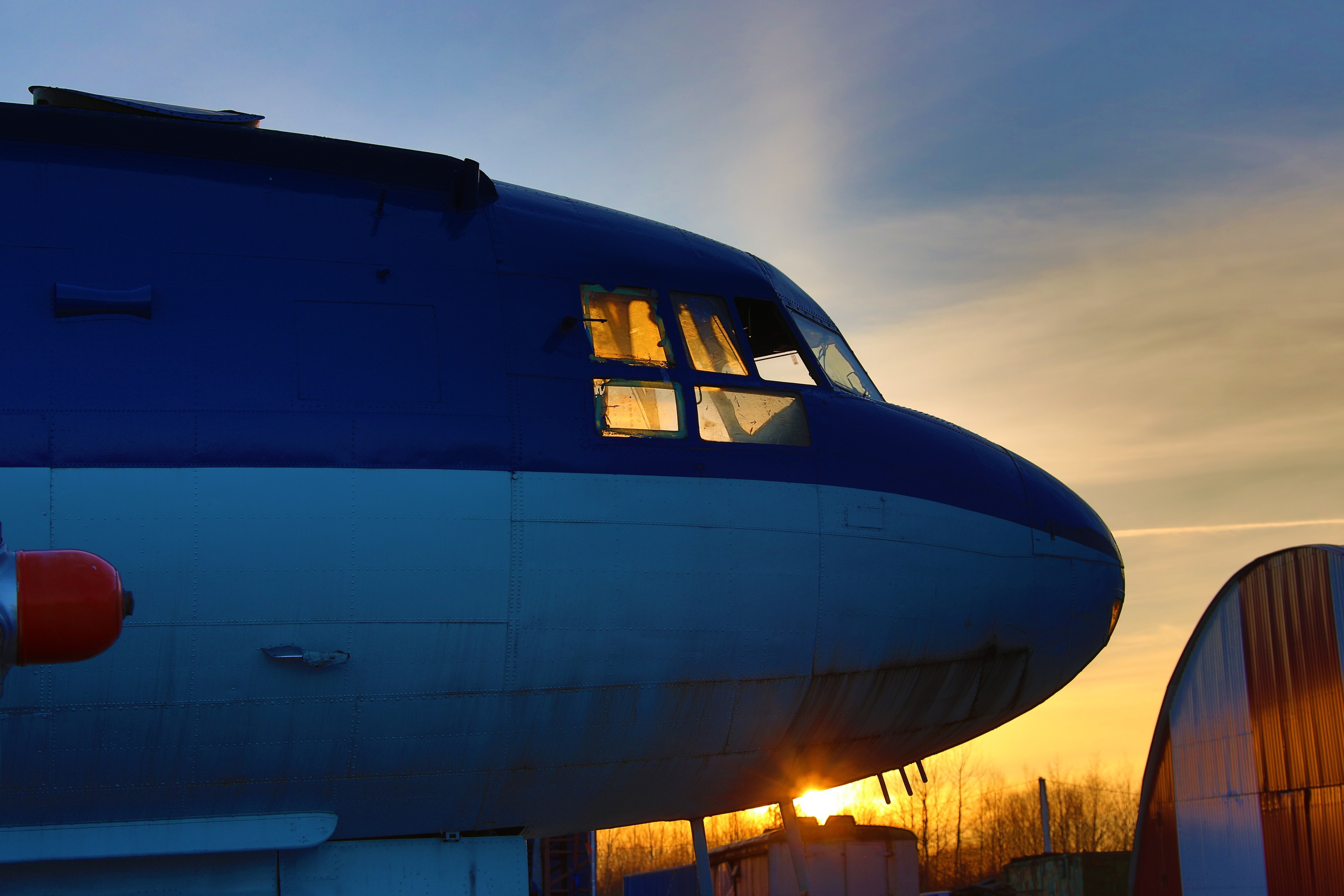 Ил-14Т «Голубая Мечта» (2026 г.). Фотоальбом показывающий увлекательный мир авиации и мир медведей Андрея Иванова