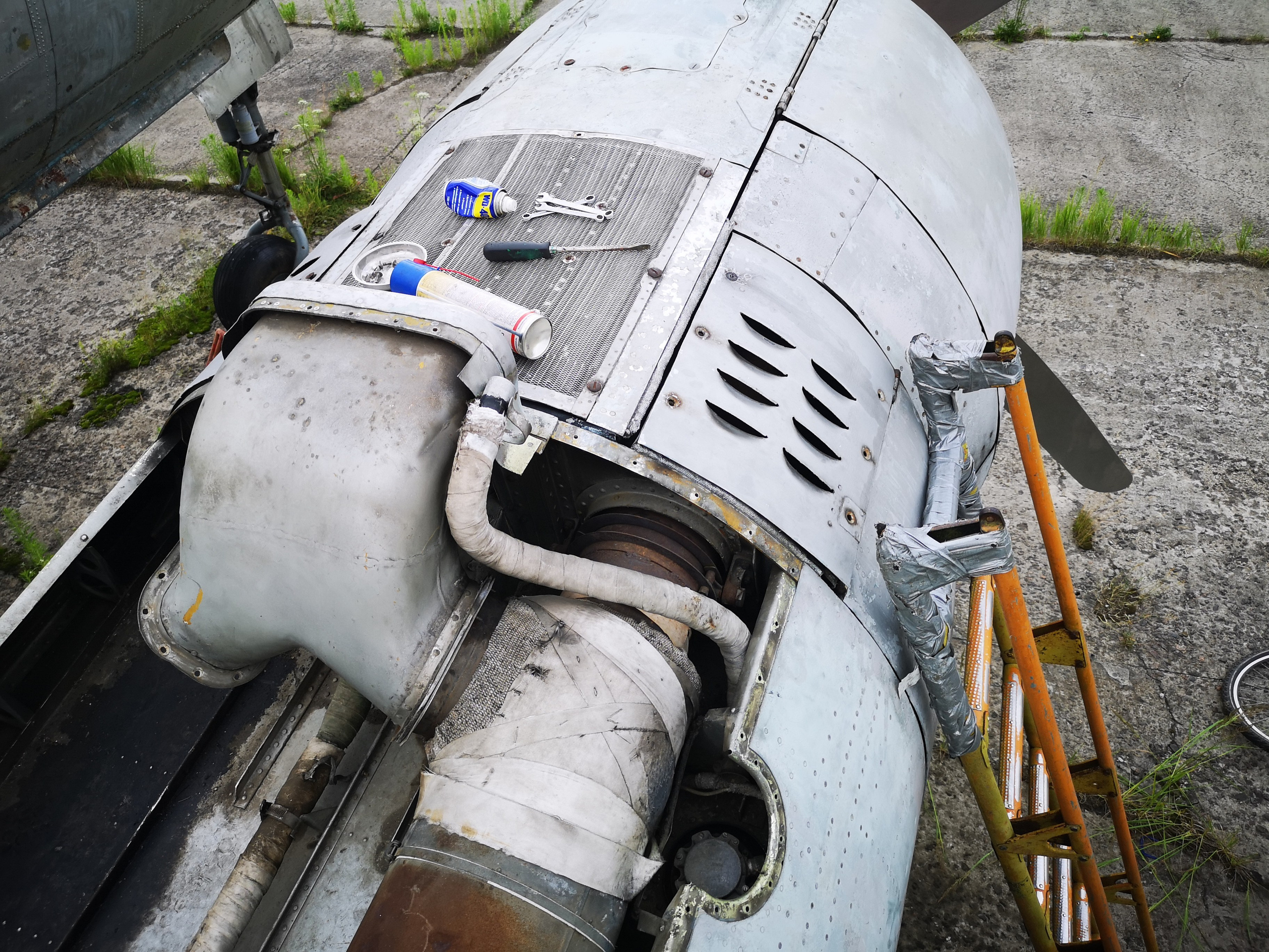 Ил-14Т «Голубая Мечта» (2020 г.). Фотоальбом показывающий увлекательный мир авиации и мир медведей Андрея Иванова