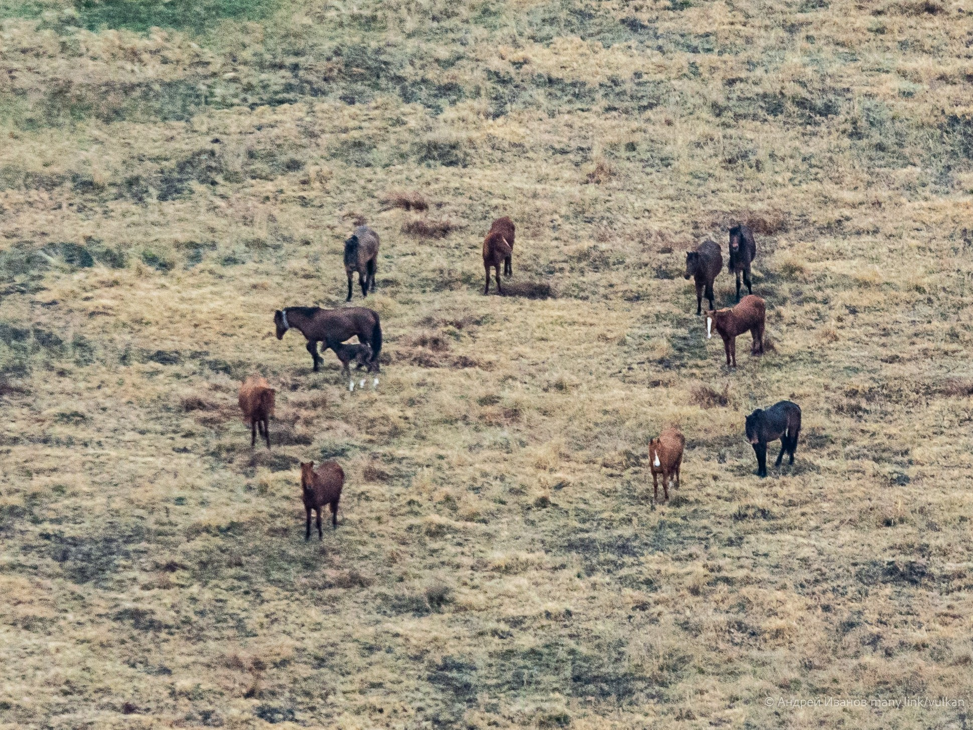 Перелёт на Байконур в 2026 г на самолётах АОН. Фотоальбом показывающий увлекательный мир авиации и мир медведей Андрея Иванова
