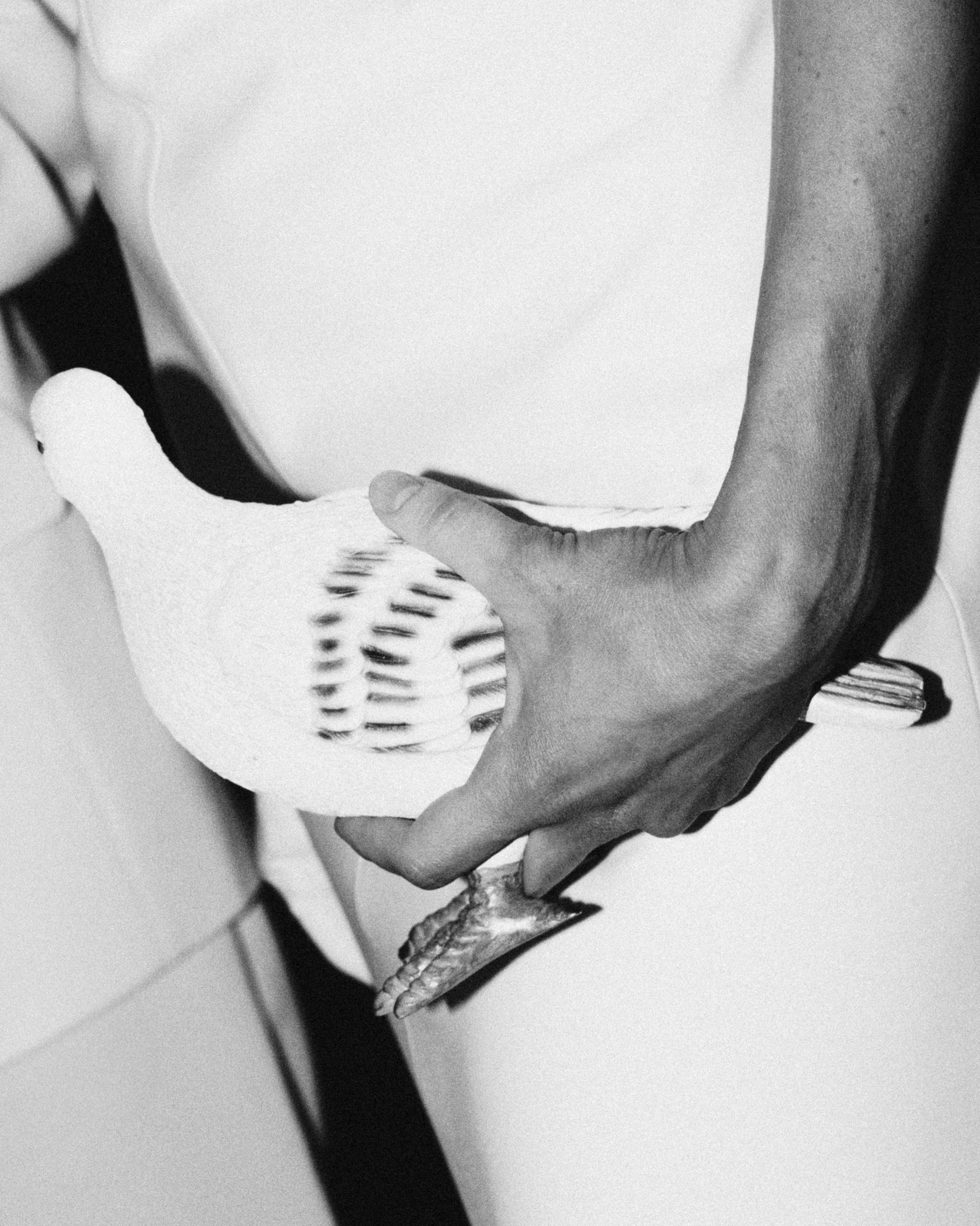 WA URAL 2025 by @alexandradmitrievaph. Свадебный фотограф @alexandradmitrievaph