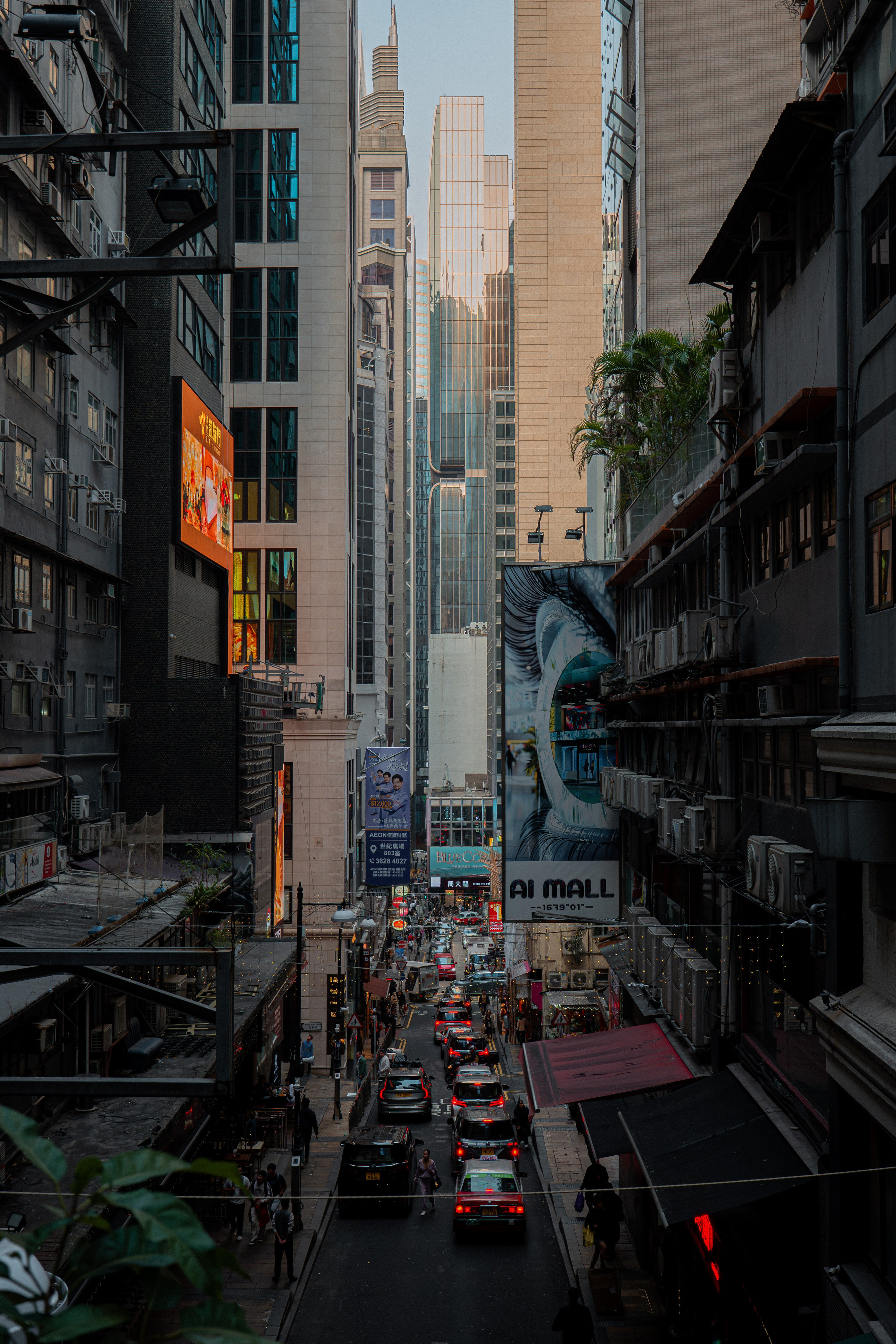 ГОНКОНГ 2026. Фото| Видео продакшн | Александр Ярков