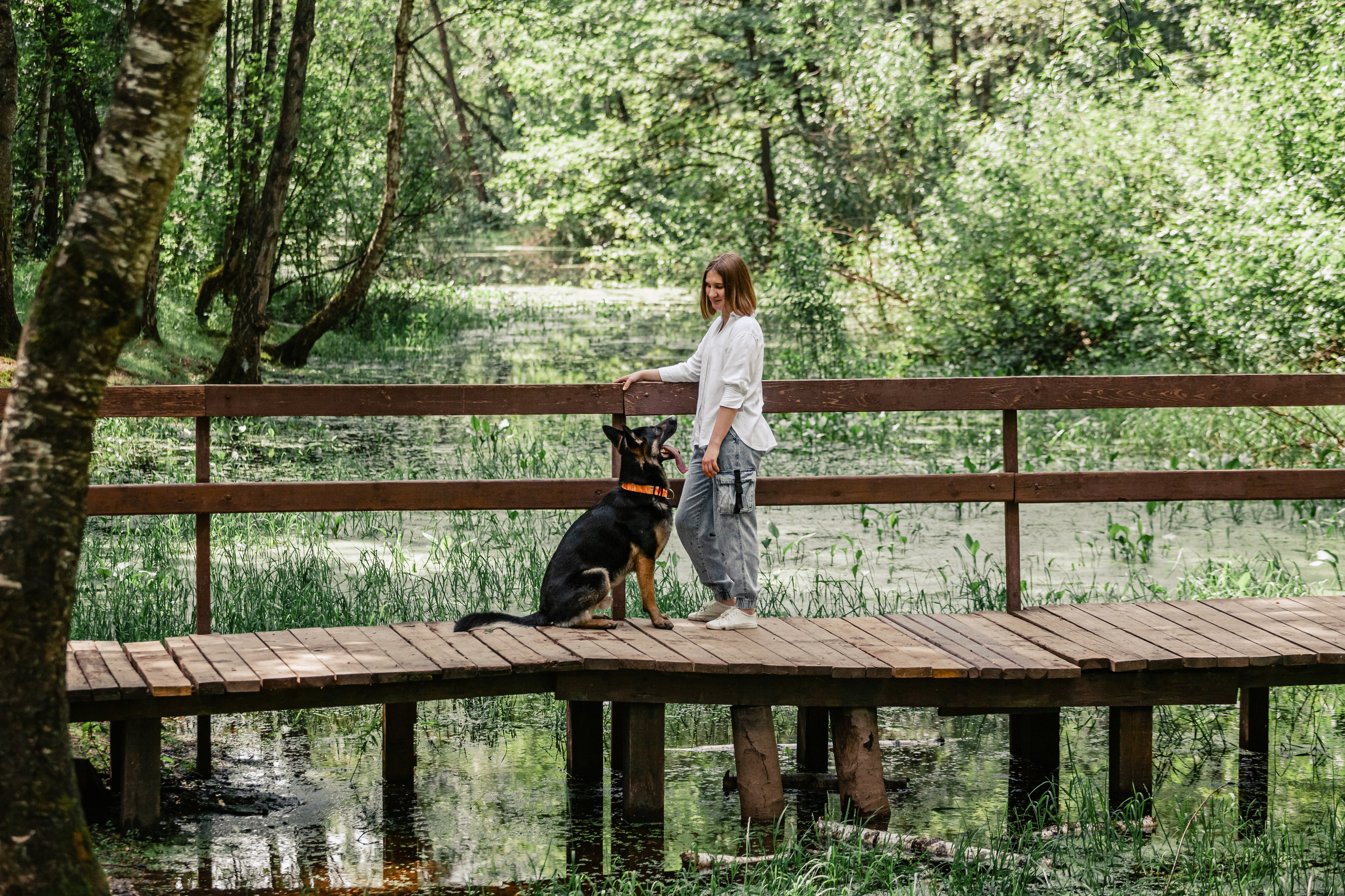 Лесная летняя фотопрогулка. Фотограф-анималист Татьяна Степанова
