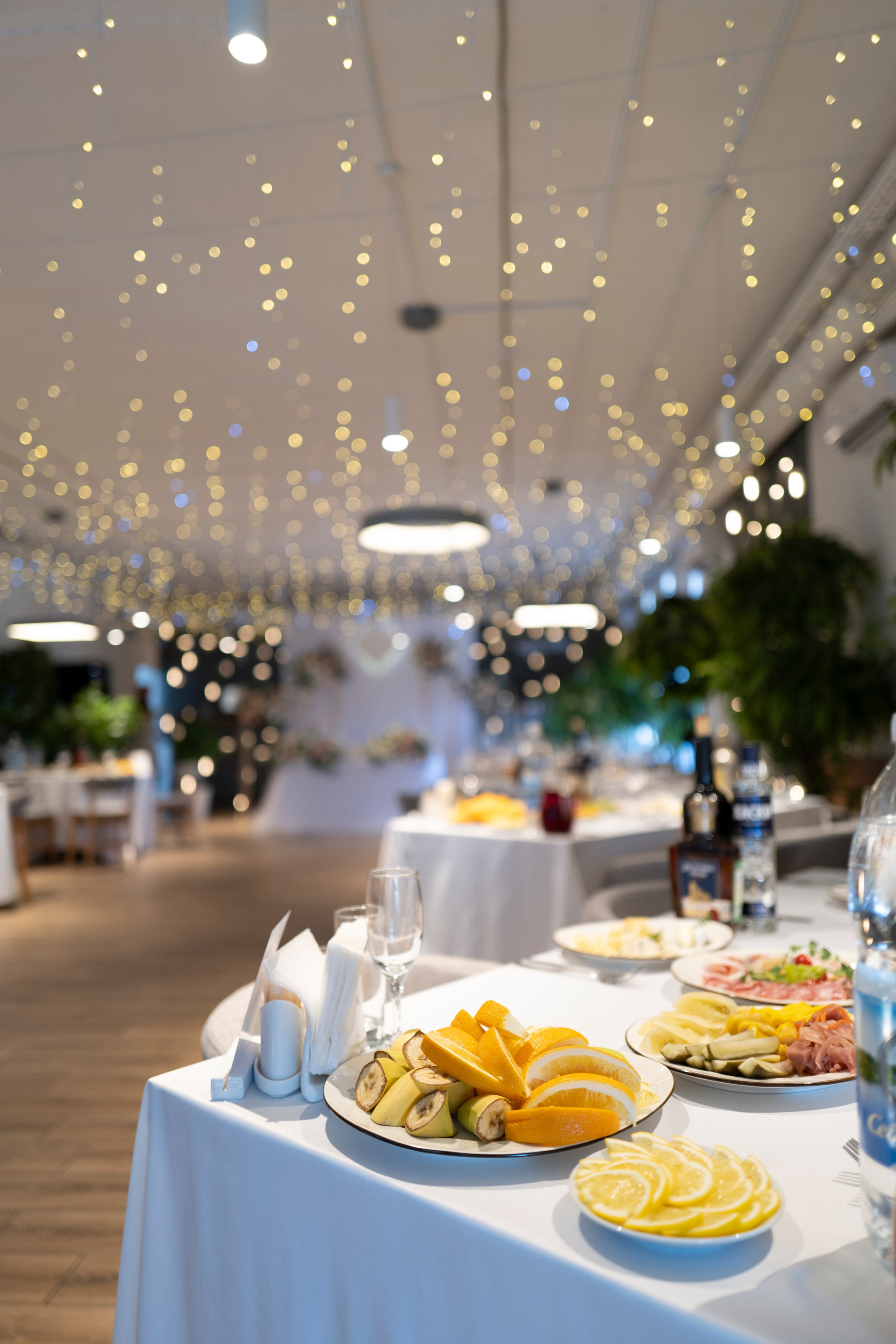 Рестораны. Maxon Magnusson