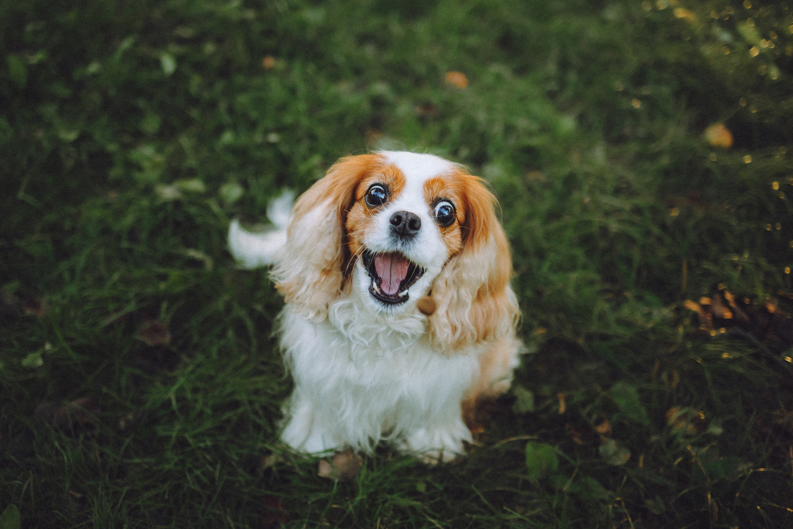 Наташа и Вики