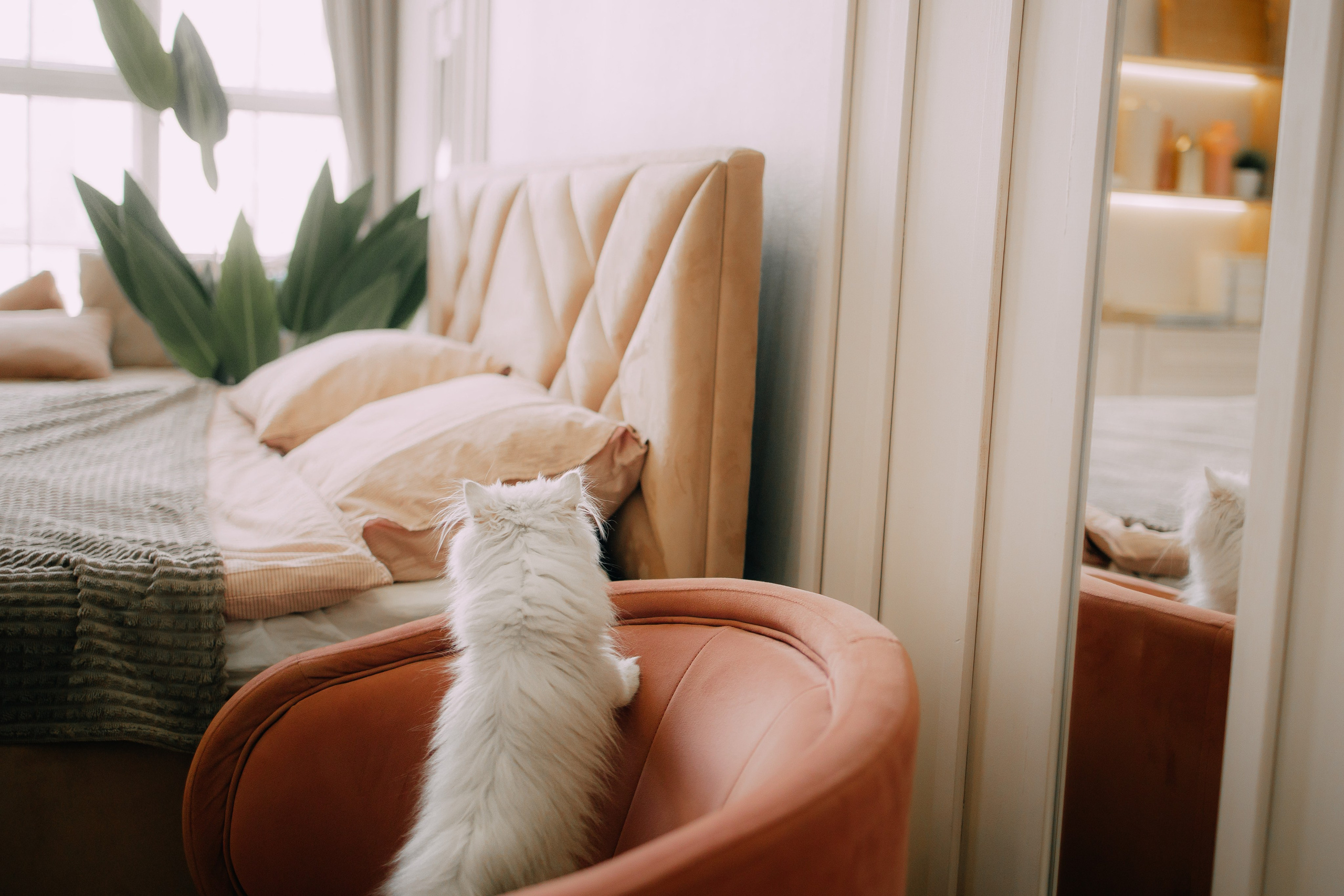 Султан, Мэй Мэй и Шанталь и их семья