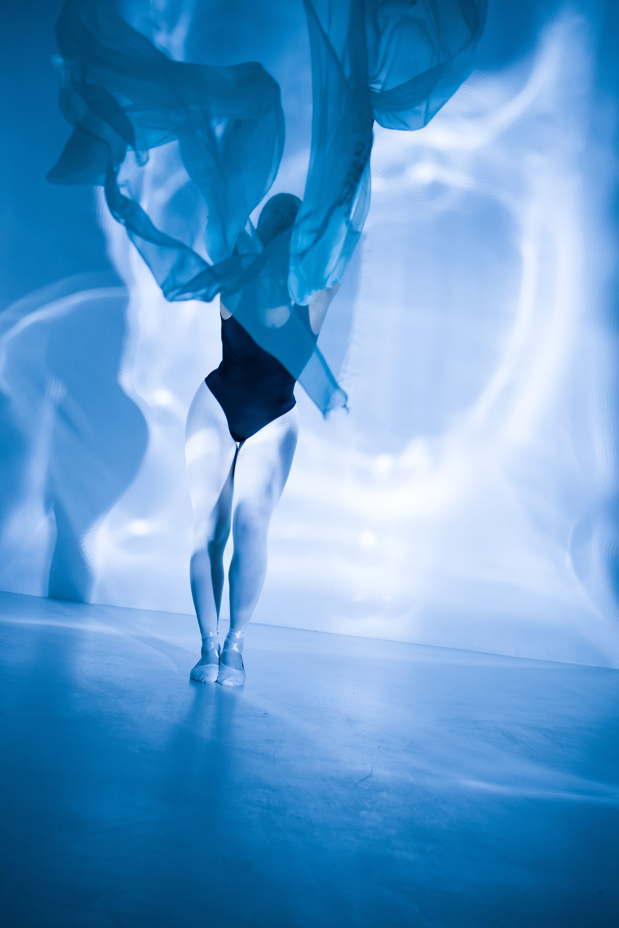 Лилия. Художественная фотография