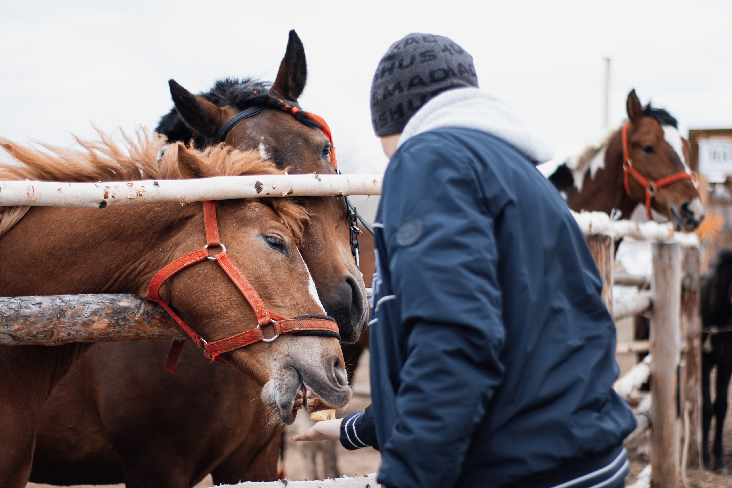 Пасхальные гулянья на хуторе «Кречет». Фотограф в Тюмени Лизавета Сапицкая