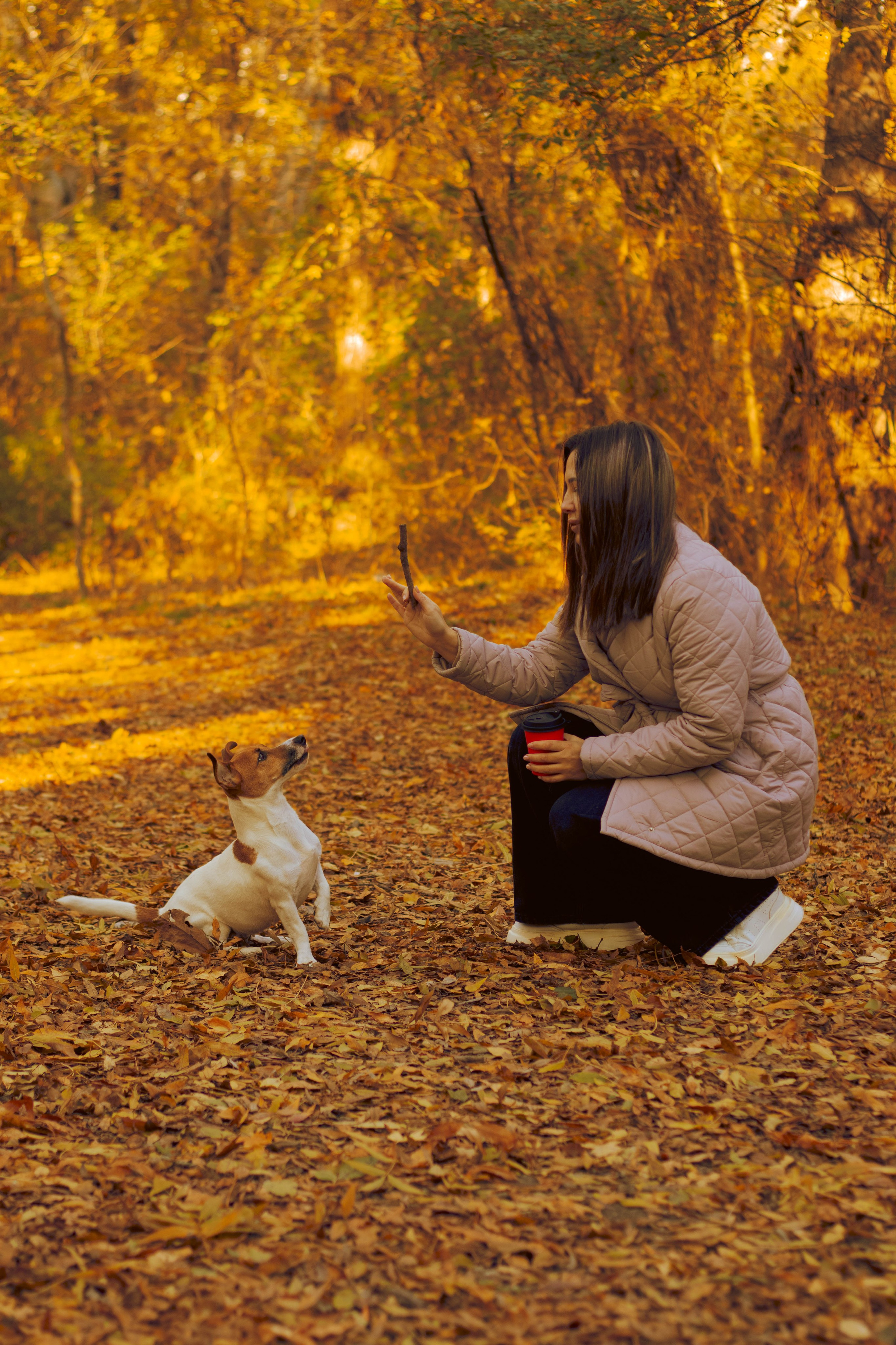«Тепло осени: уютные кадры с природой». Уличный фотограф Города N