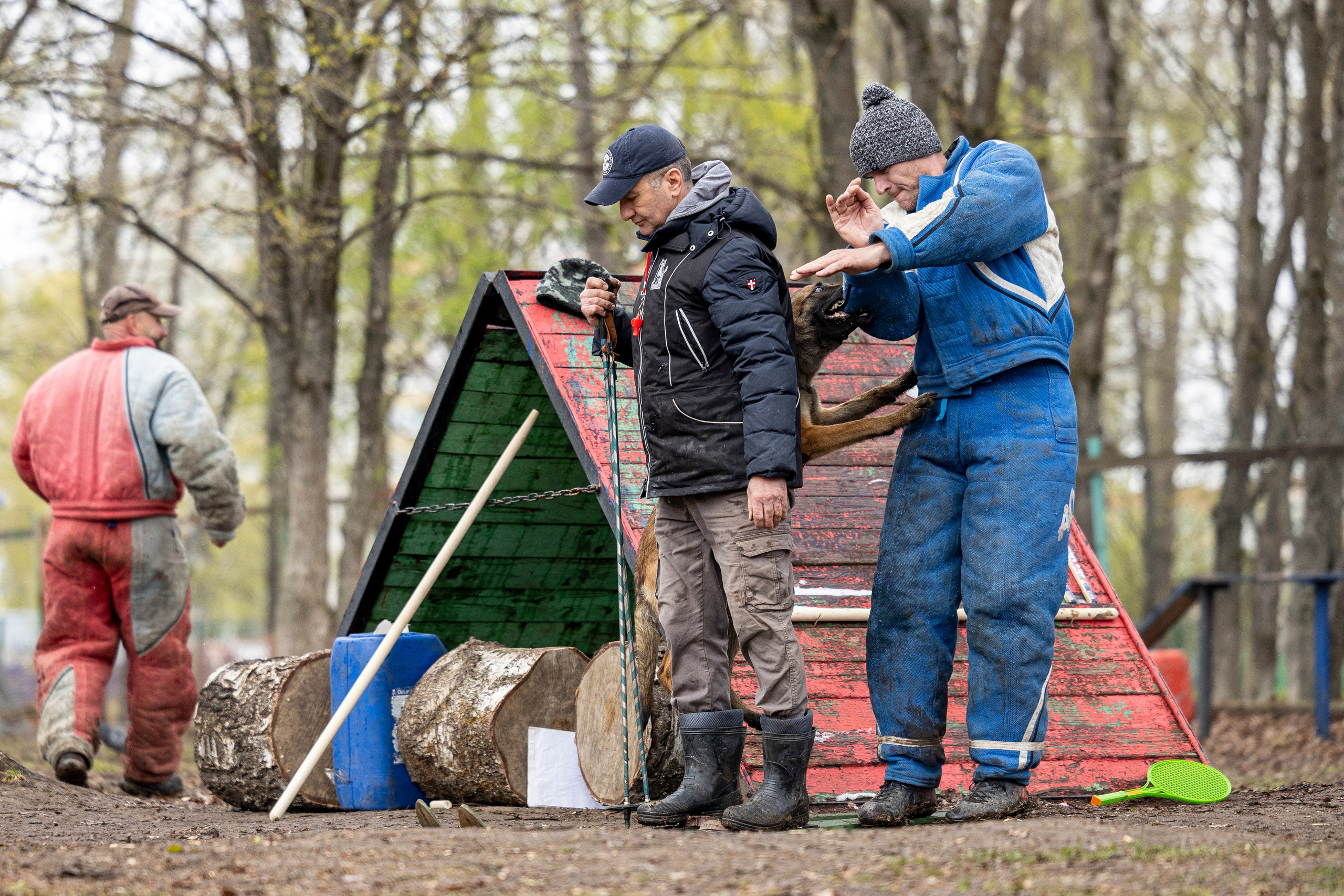 Квалификационные состязания по мондьорингу г. Вологда 11.05.24. Фотограф-анималист Анна Маринич