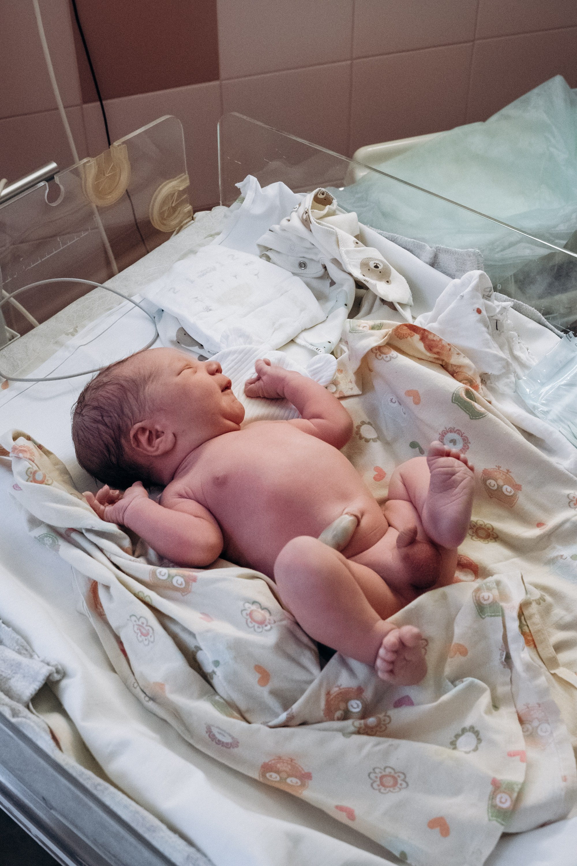 Фотограф на роды в Москве. Фотограф на роды в Москве Алла Rockymouse