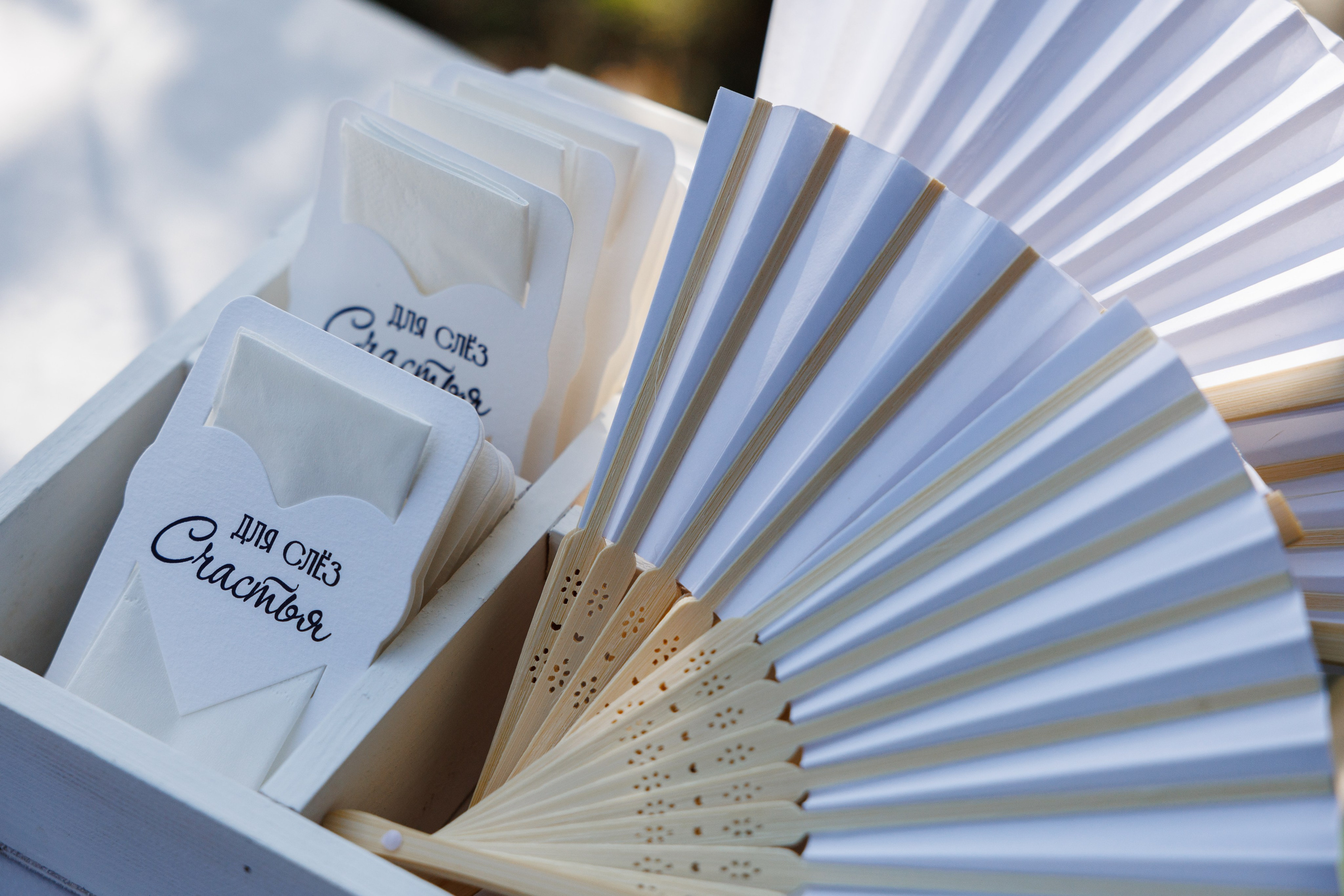 Рома и Надя. Фотограф Ставрополь Петр Голубенко