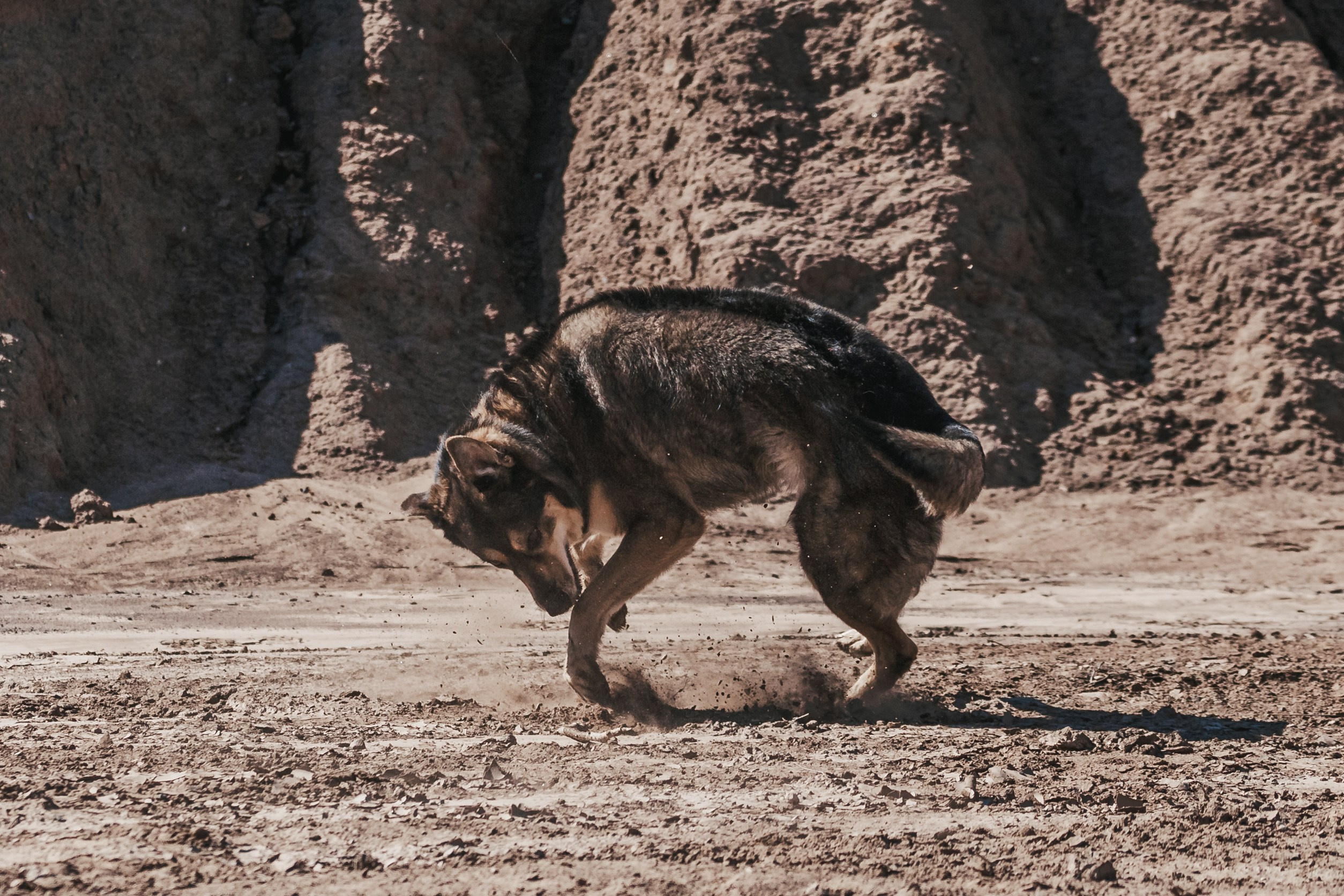 Кондуки. Фотограф-анималист Татьяна Степанова