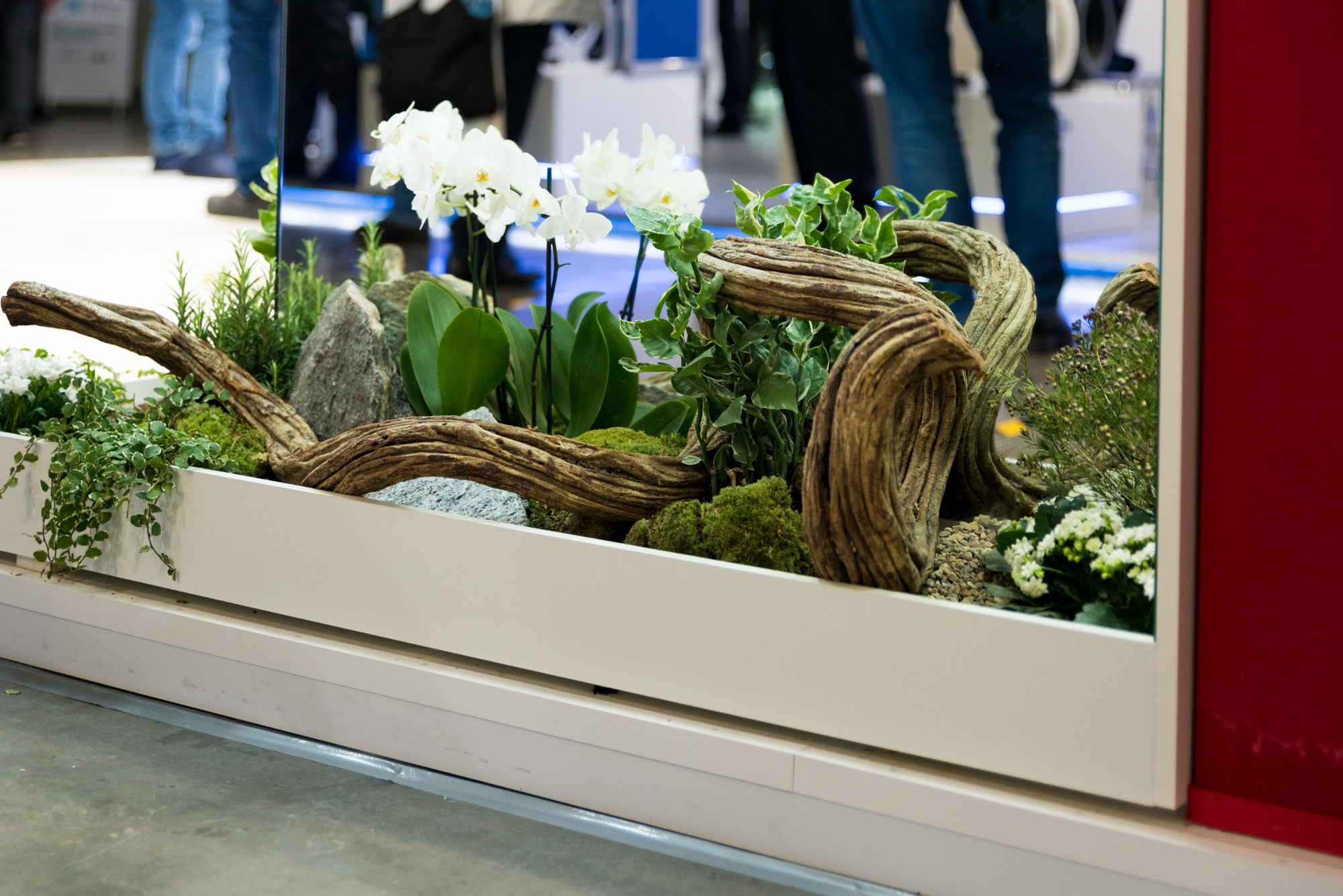 Выставка Aquatherm Moscow 2021. ФОТО- И ВИДЕОСЪЁМКА МЕРОПРИЯТИЙ