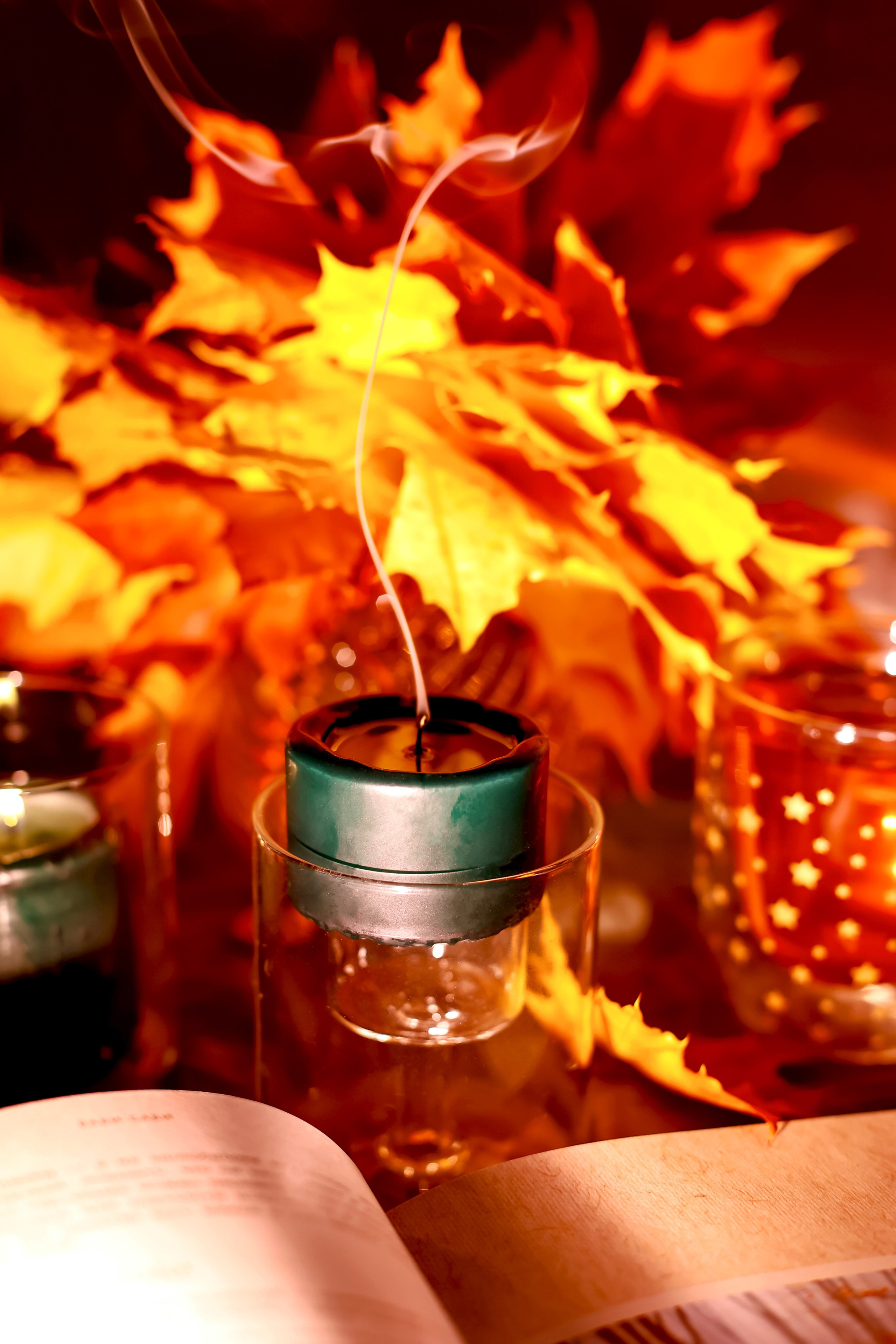 Предметная съемка, цветы, открытки. Фотограф — Татьяна Кириллова, г. Санкт-Петербург