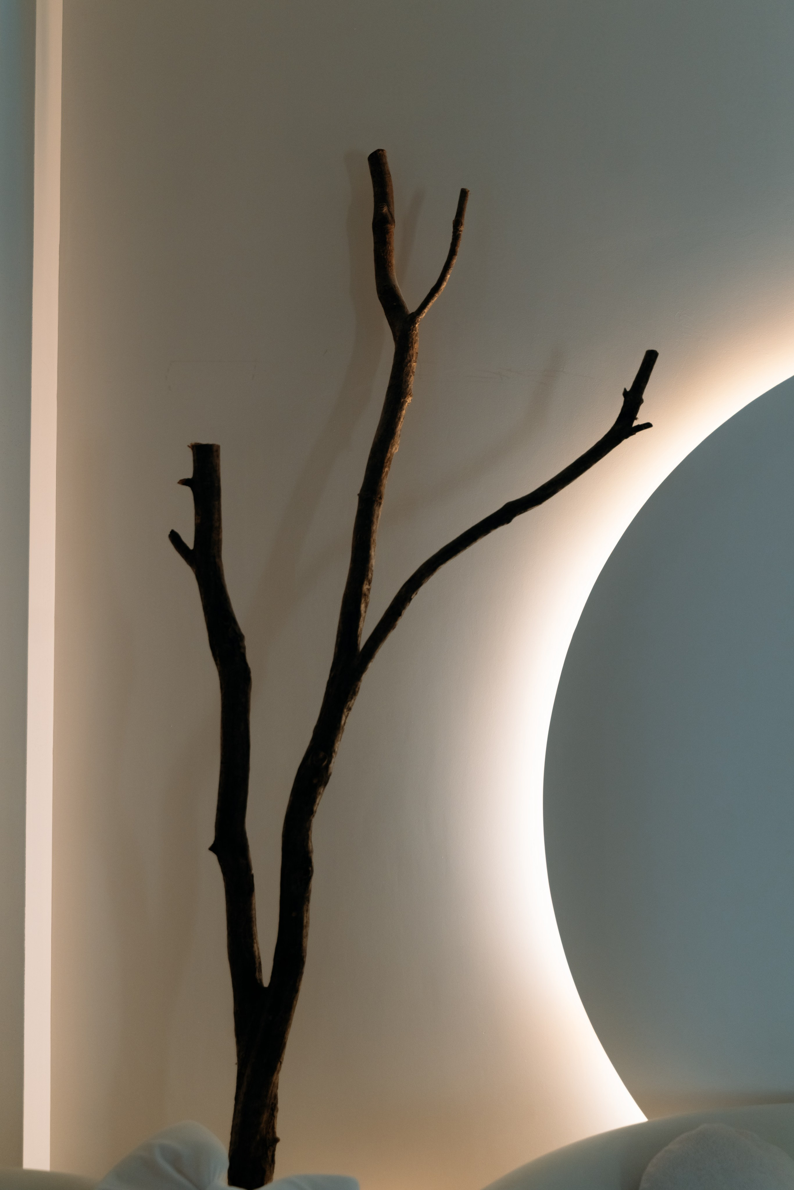 В предверии 2026. FotoTanya. Раменское/Жуковский/Бронницы