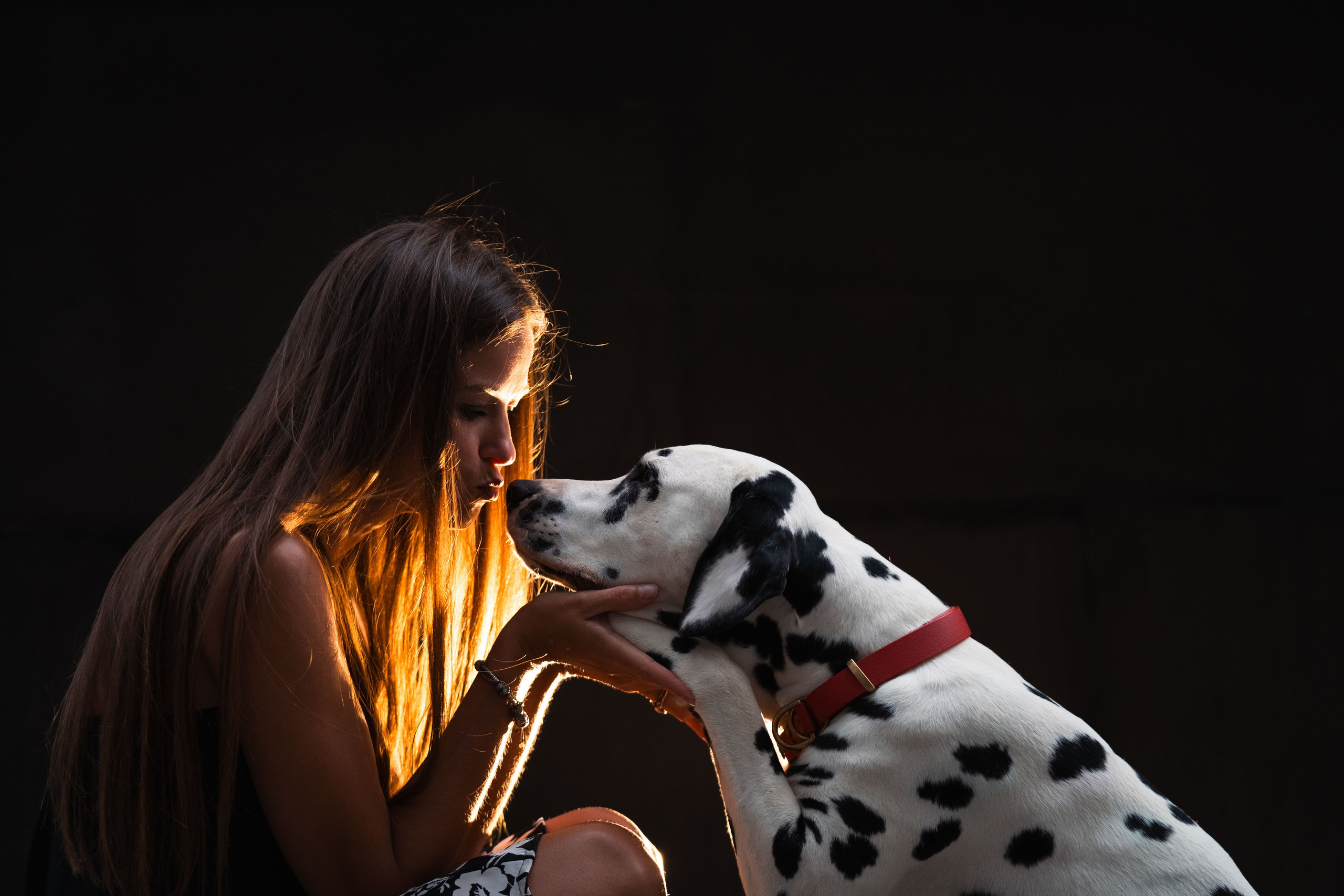1 Далматин. Фотограф анималист