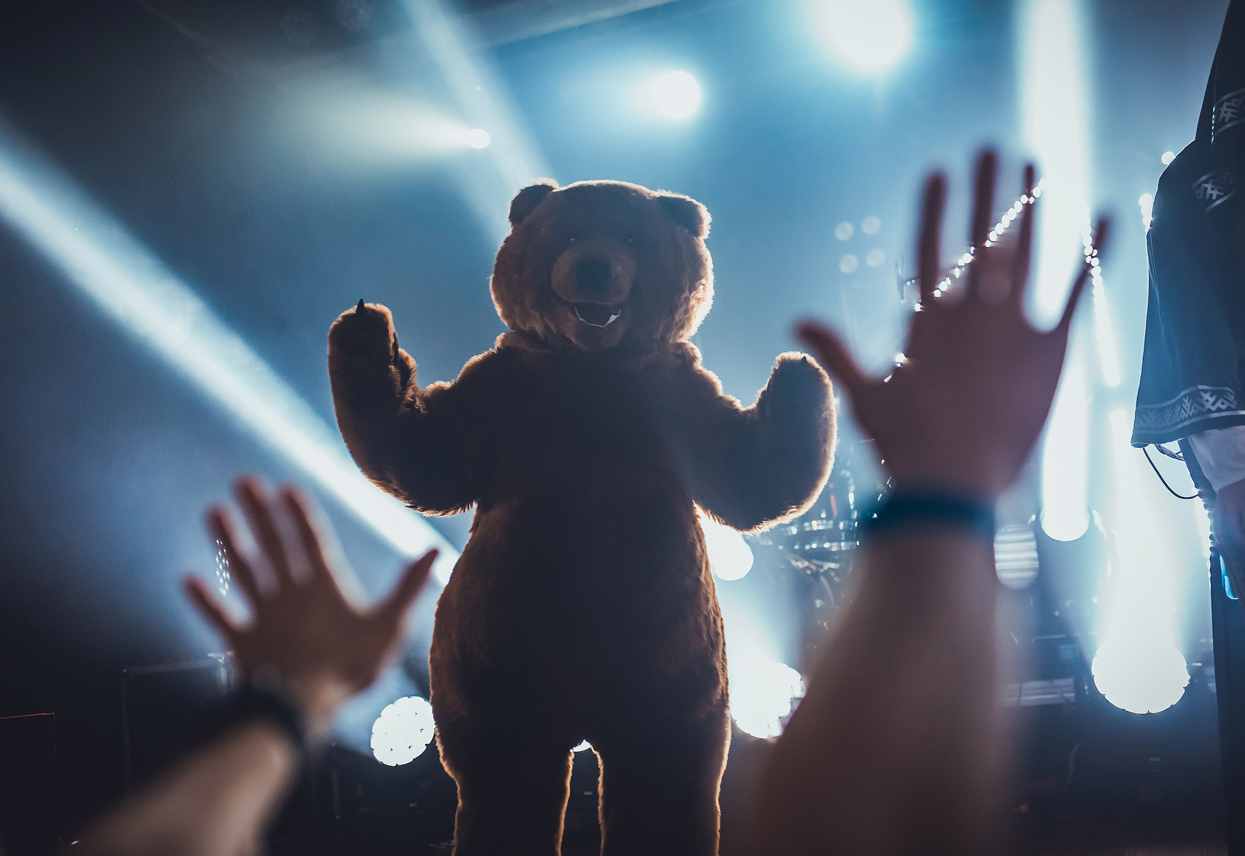 Концерты. Репортажный и свадебный фотограф в Новосибирске Марина Красавина