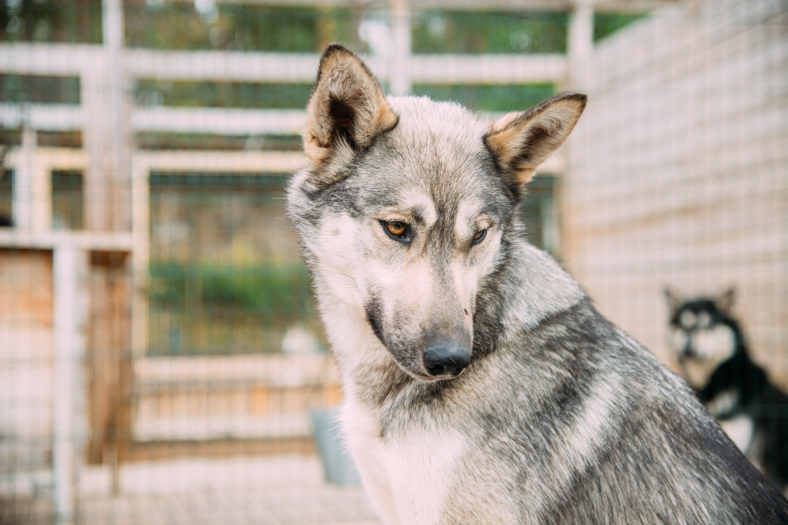 Кольский полуостров. Фотографирую для себя, своей семьи и друзей!