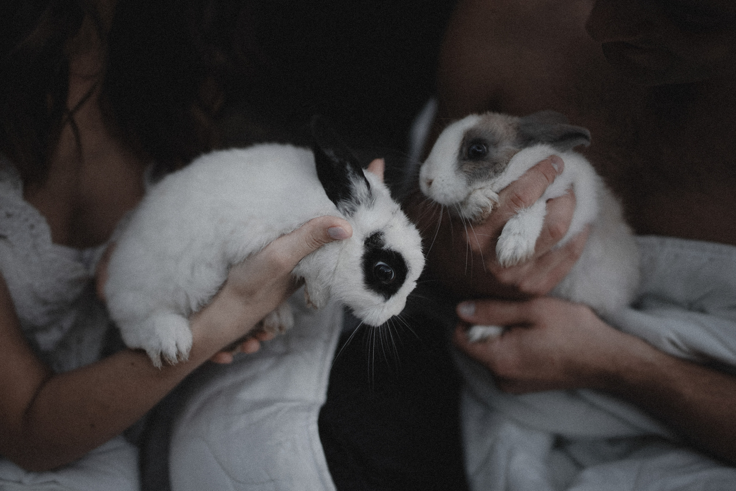 Александр и Марго. Фотограф в Крыму Романенко Даниил